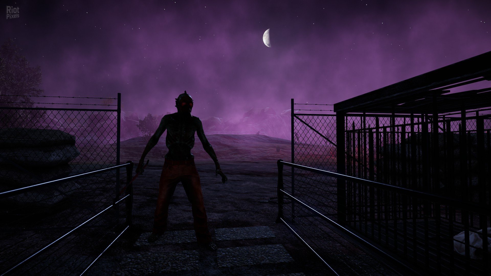 [10]-Animallica Download