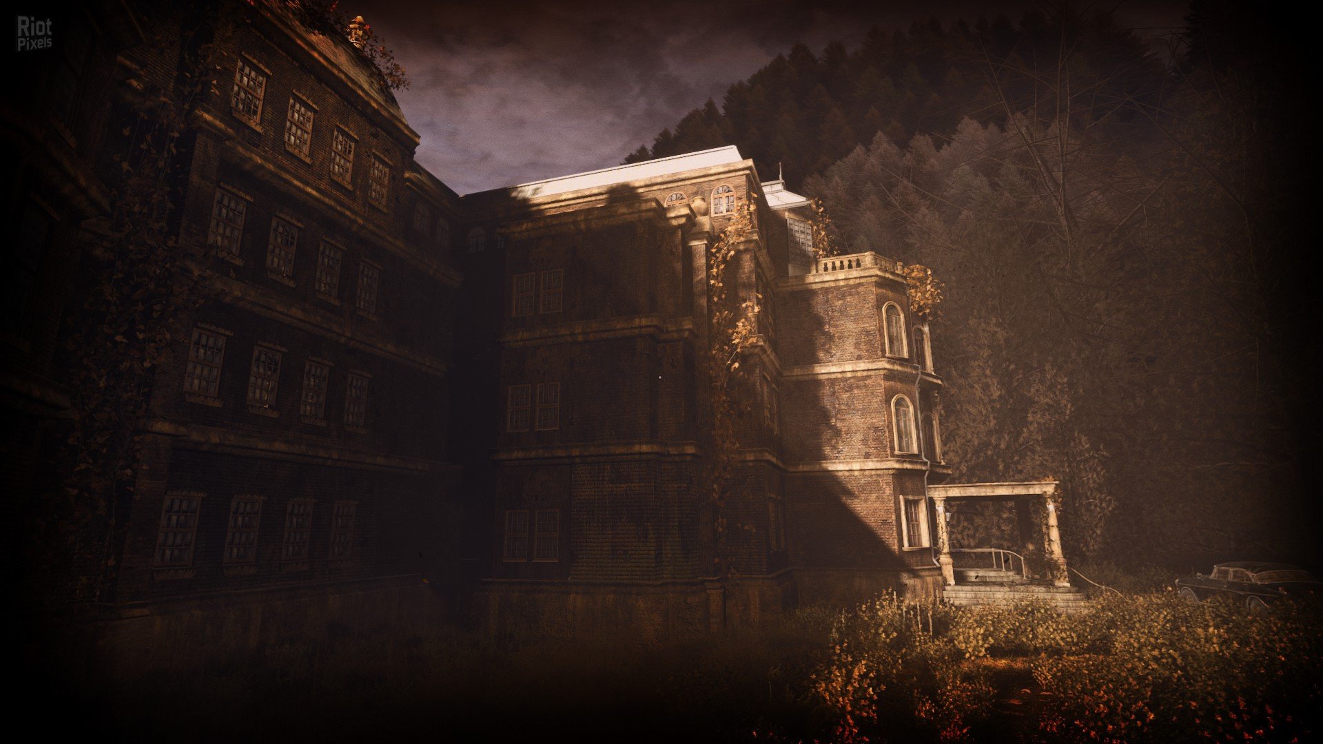 [11]-ASYLUM Download