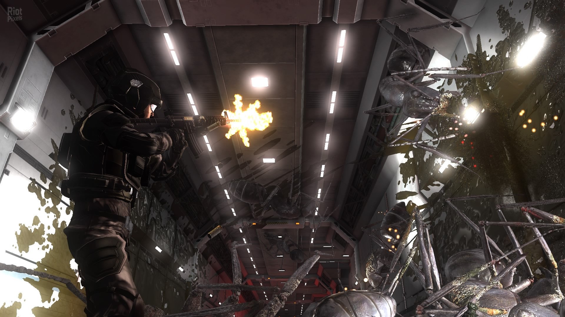 [8]-Earth Defense Force 5 + 20 DLCs + Multiplayer Download