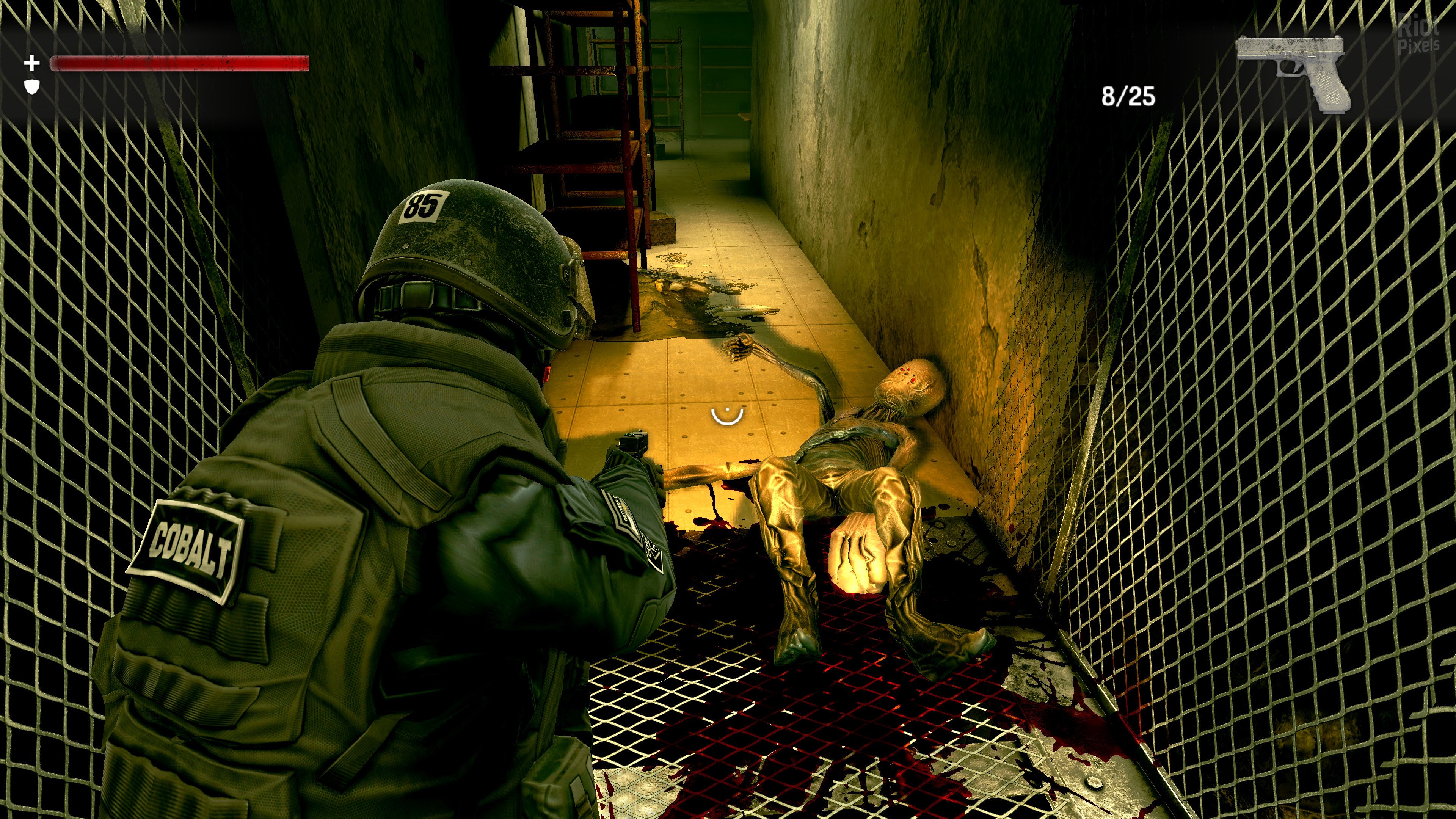 [4]-Wall of Insanity Download