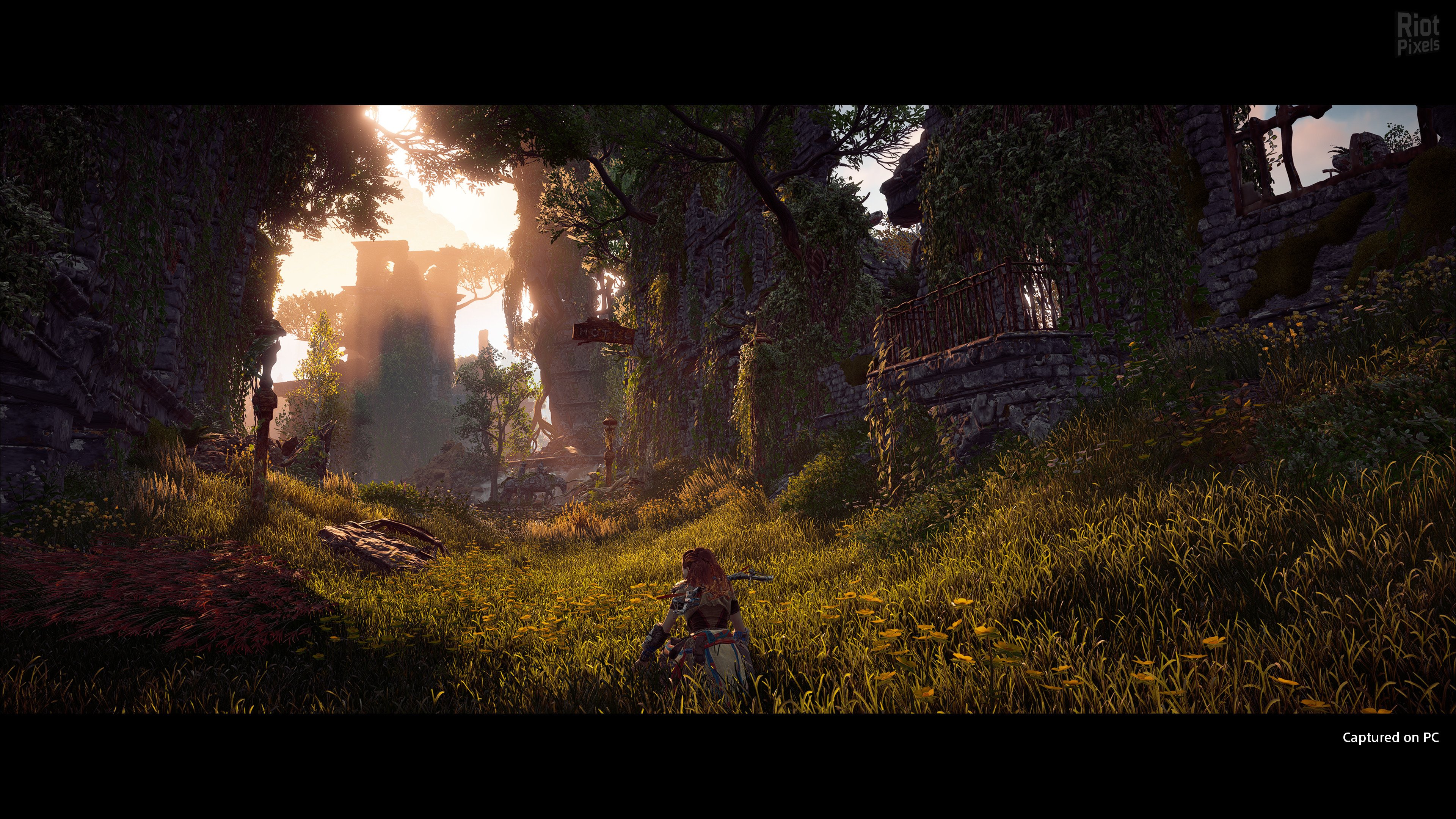 [5]-Horizon: Zero Dawn – Complete Edition – v1.11.2 (GOG/Epic/Steam) + VR Mod + Bonus OST Download