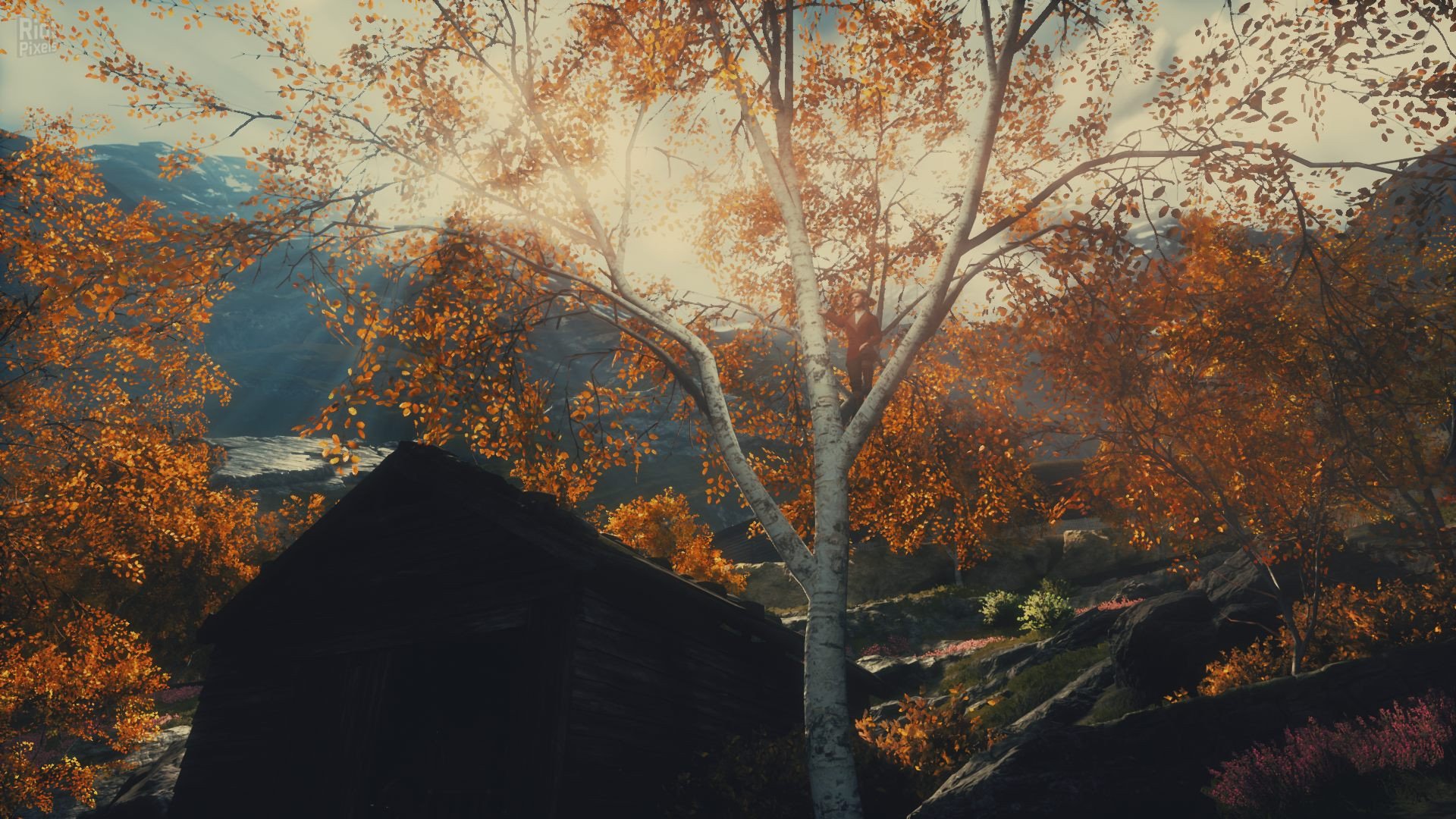 [4]-Draugen Download