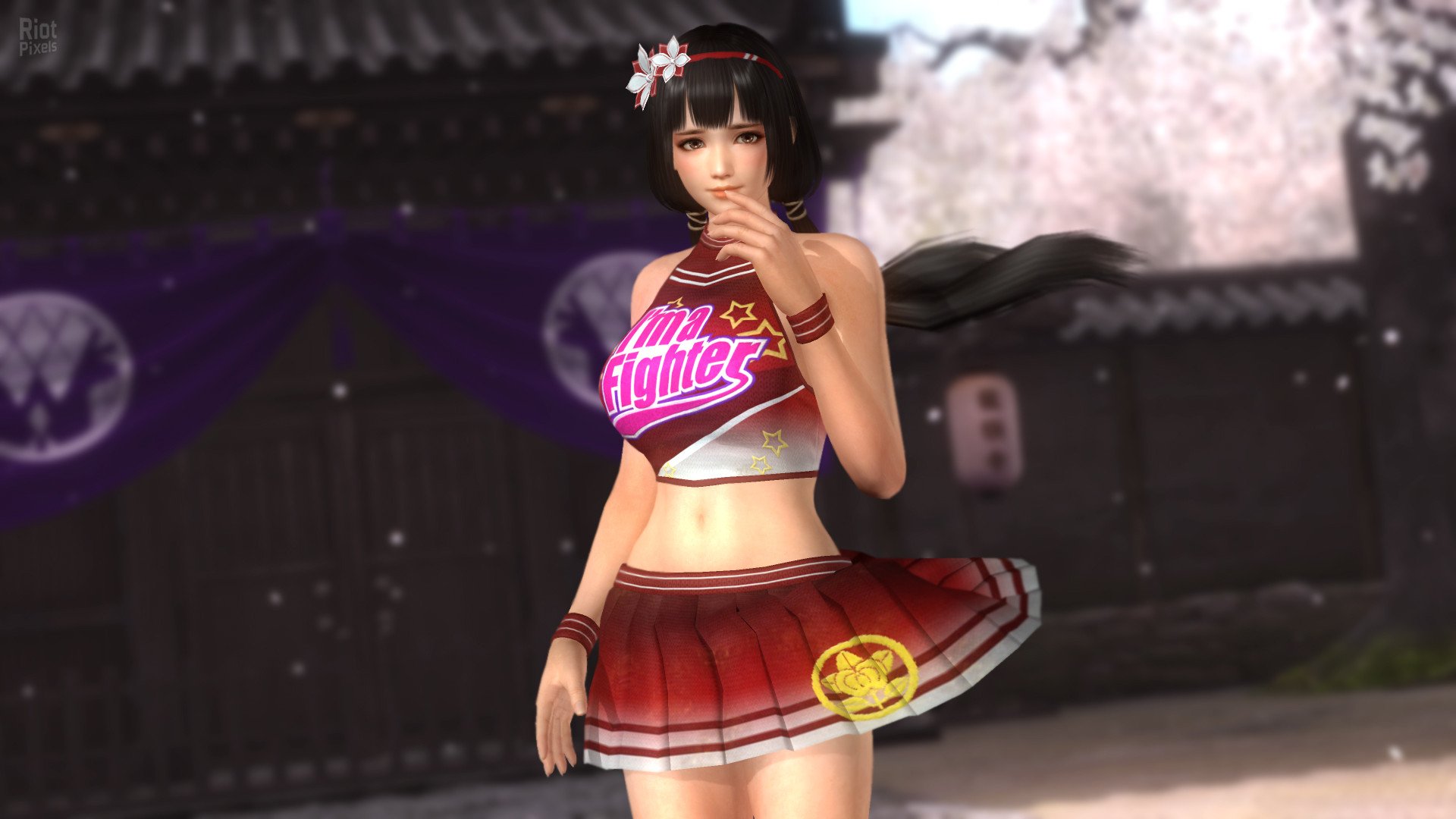 [14]-Dead or Alive 5: Last Round – v1.10C + All DLCs + Unlocker Download