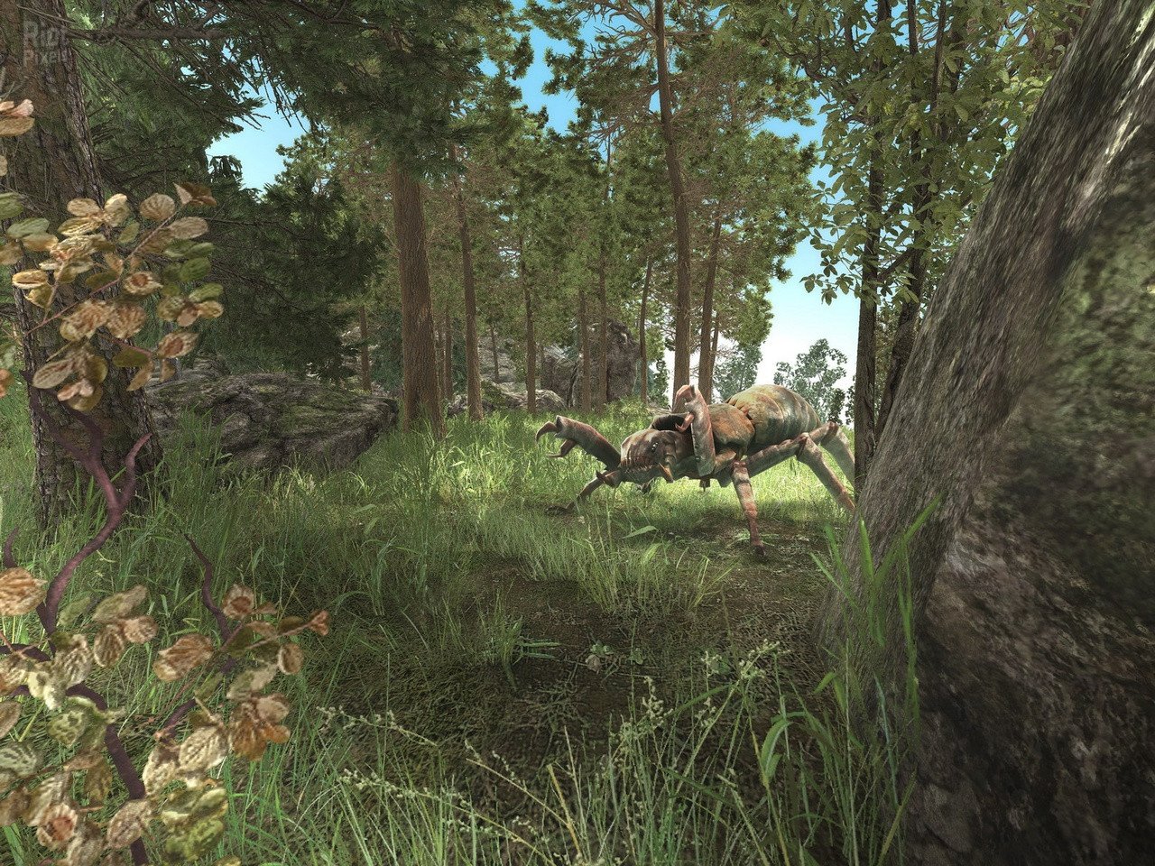 [6]-ArcaniA: Gold Edition Download