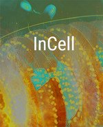 InCell / InCell VR-HohohoGames