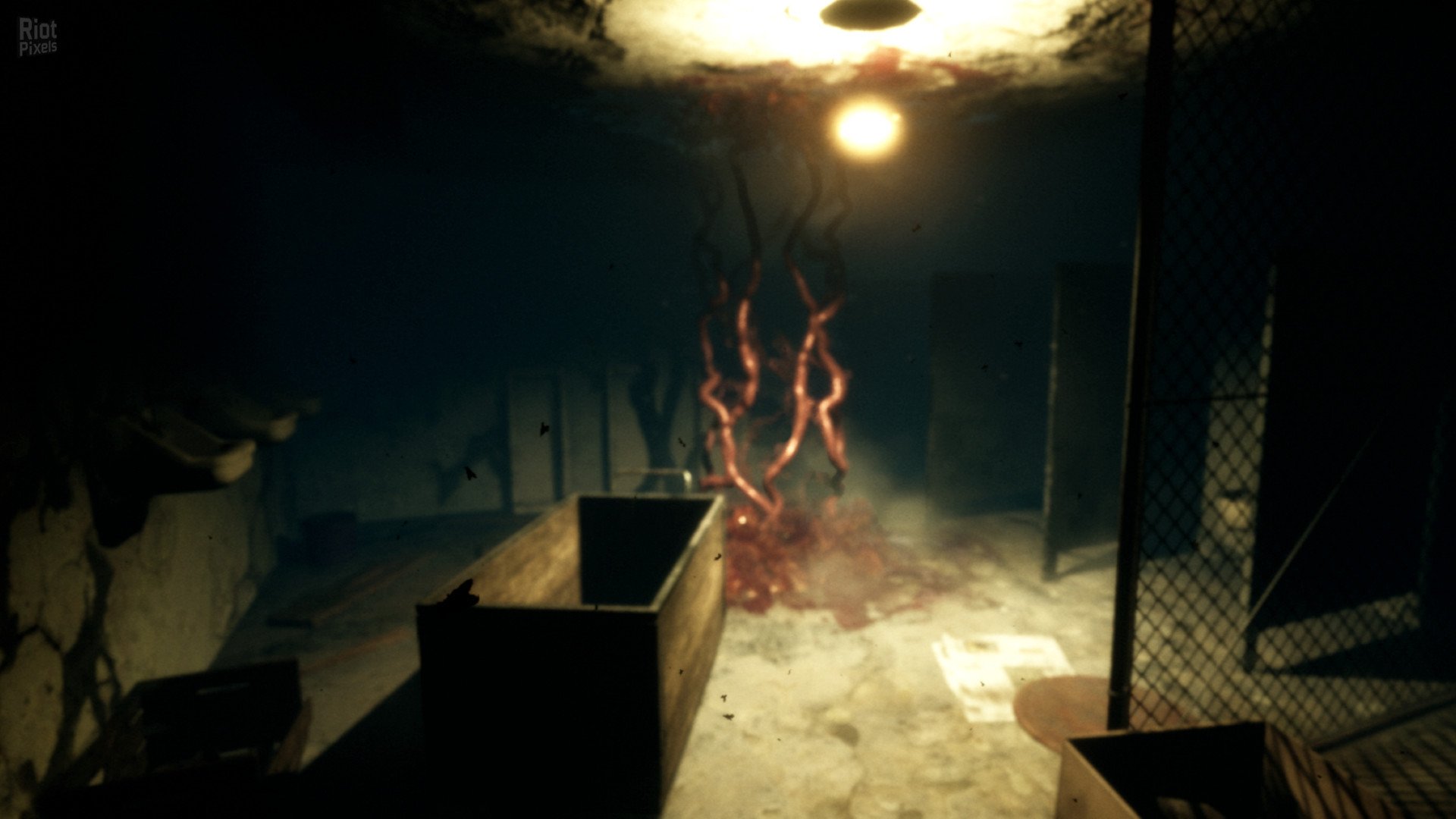 [5]-Nebraska Download