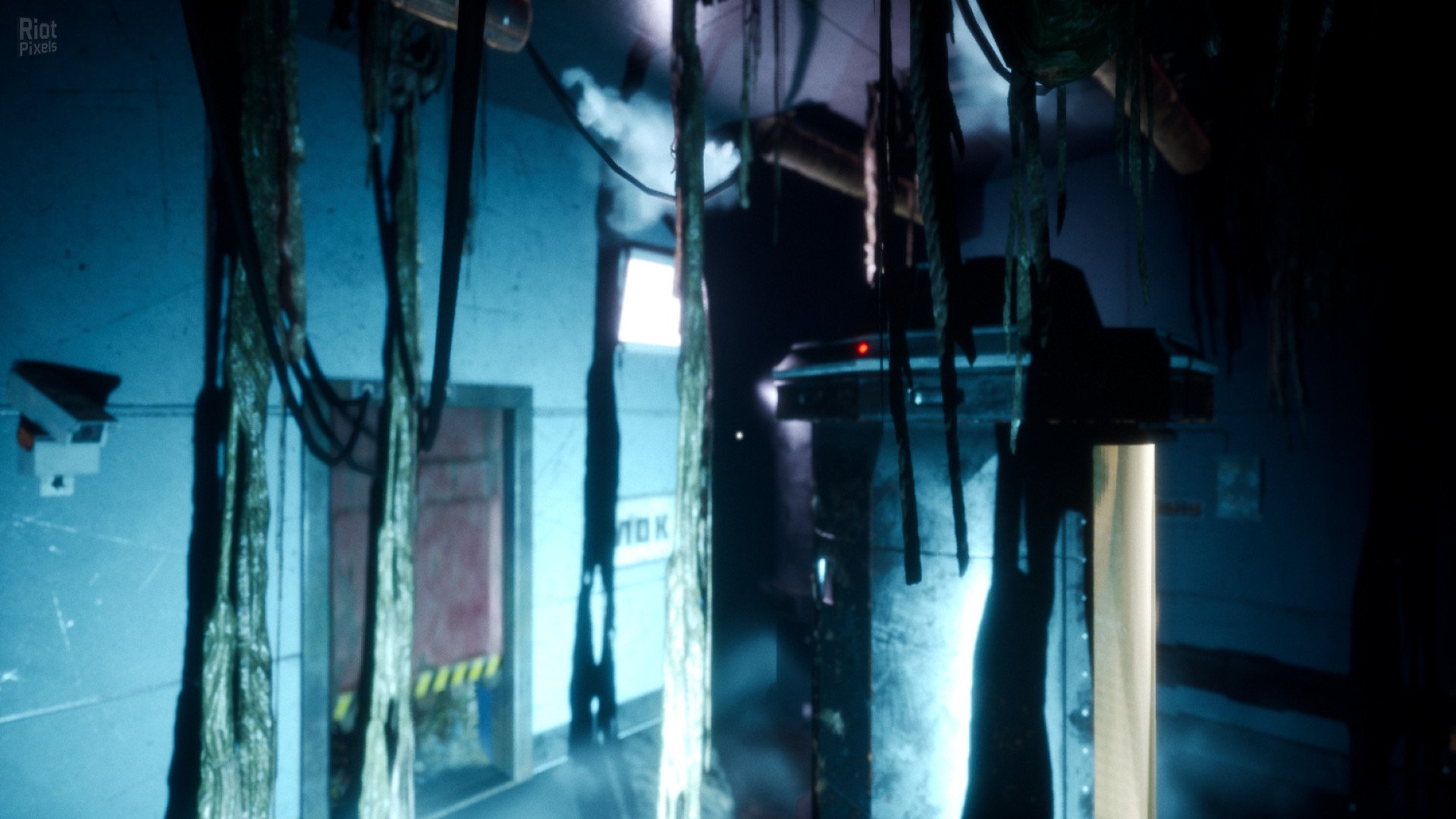 [9]-Nebraska Download