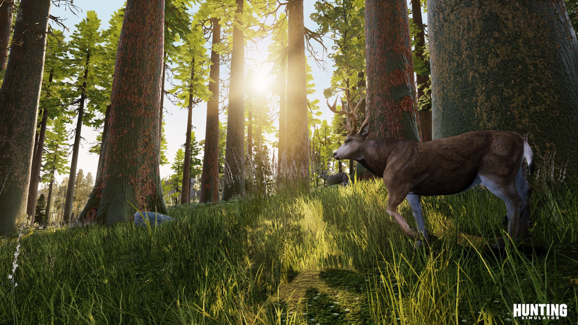 [16]-Hunting Simulator – v1.2 + DLC Download