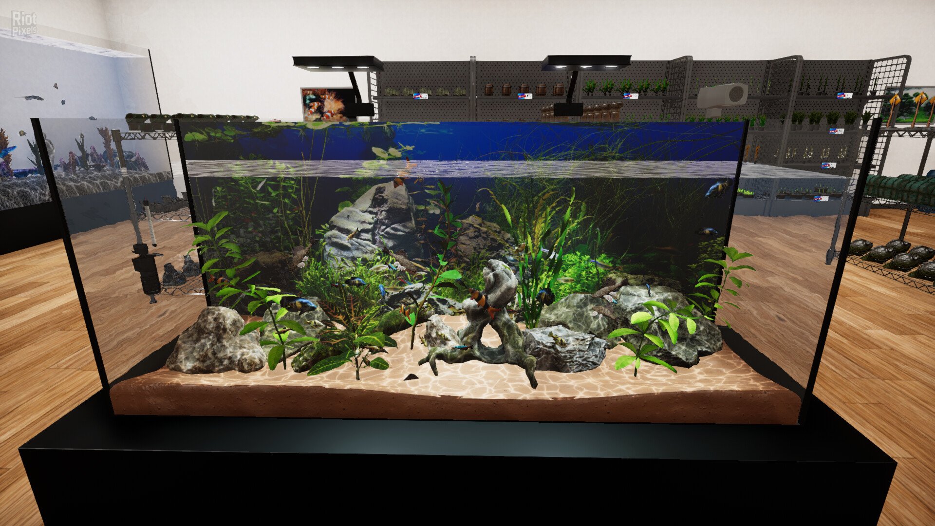 [16]-Aquatic Store Simulator Download