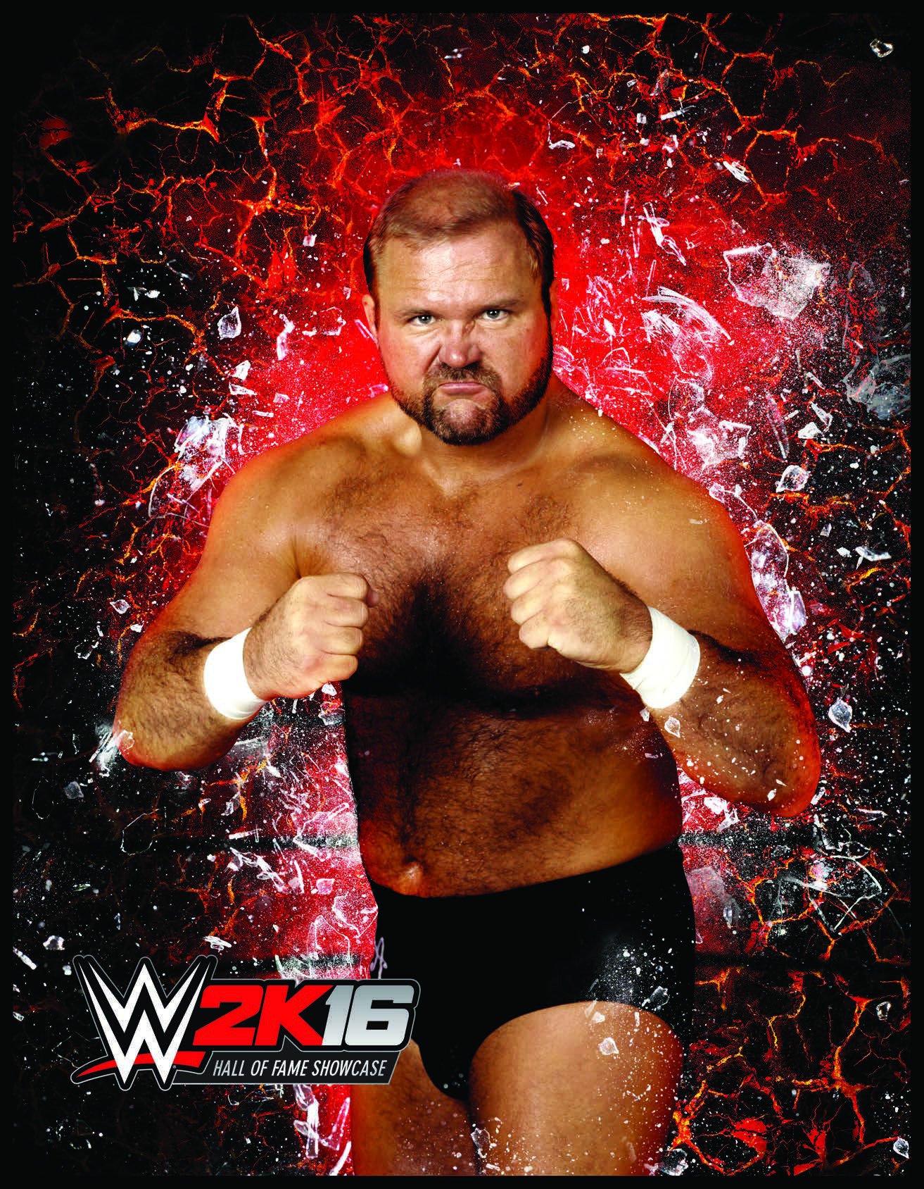[29]-WWE 2K16 + All DLCs Download