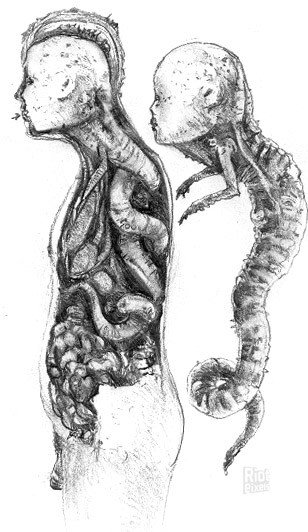 [21]-BloodRayne: Terminal Cut – v1.04 (Ultimate Update) Download