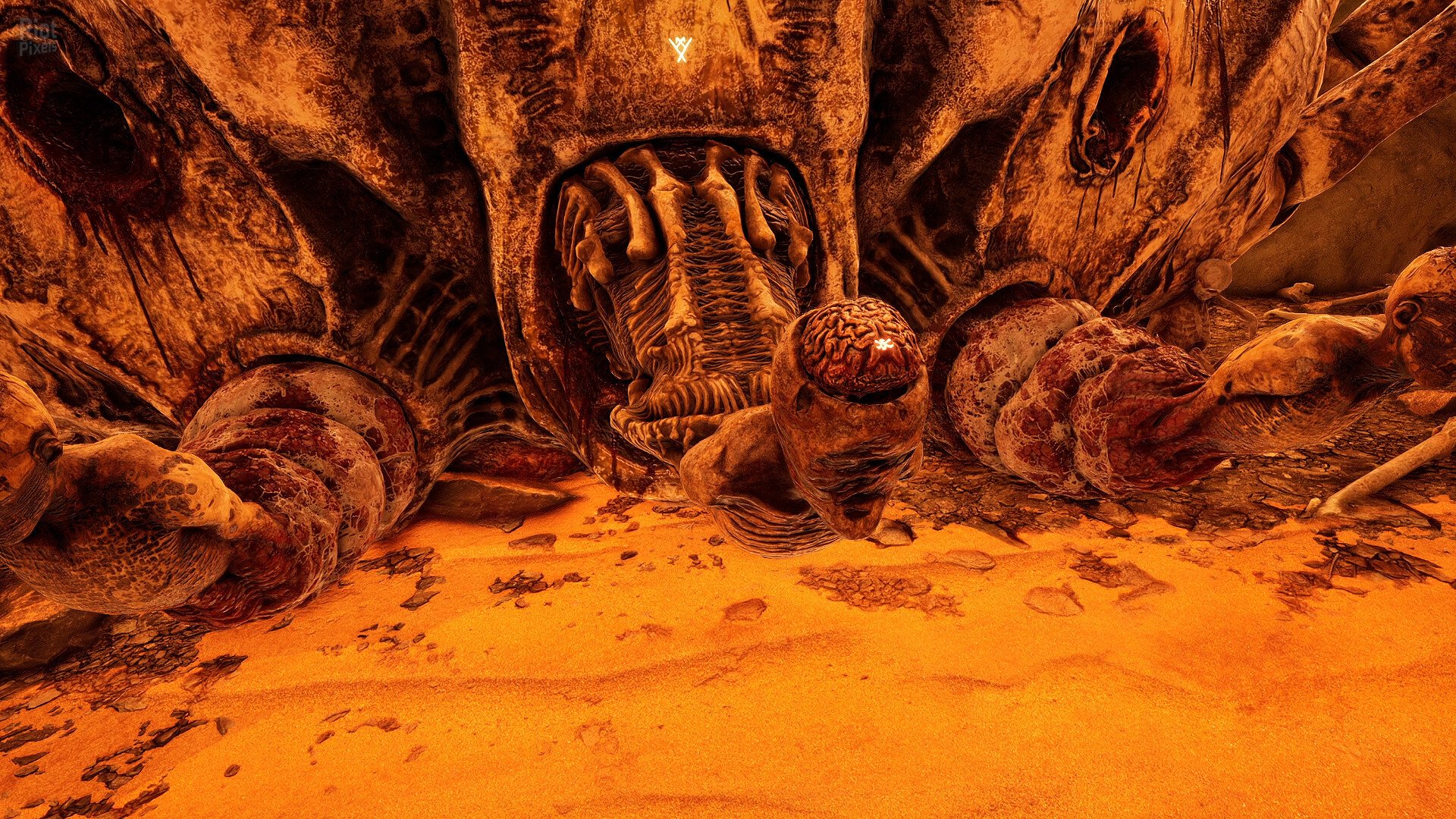 [5]-Necrophosis Download