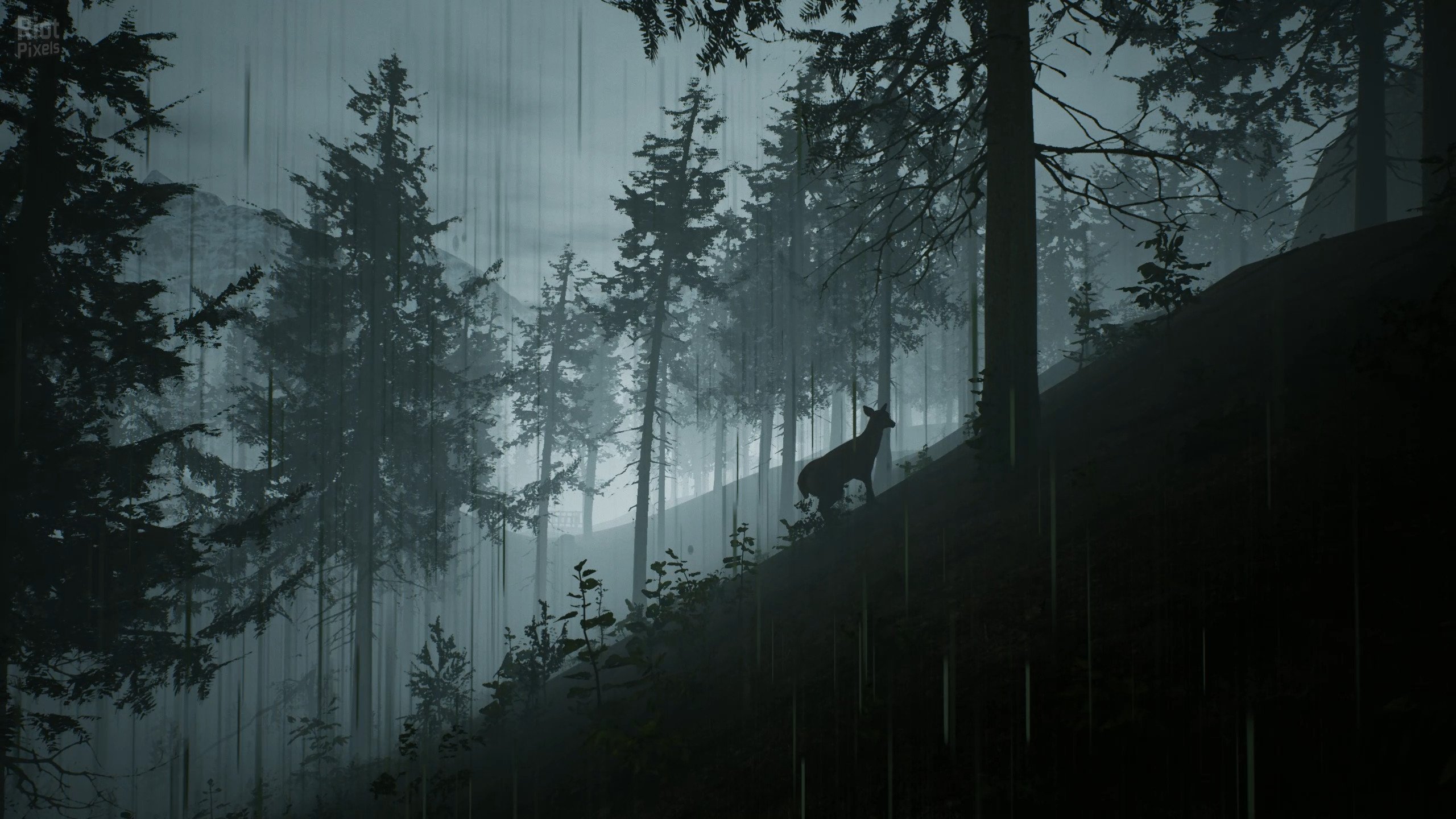 [14]-Morels: The Hunt Download