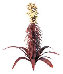 [24]-The Solus Project Download