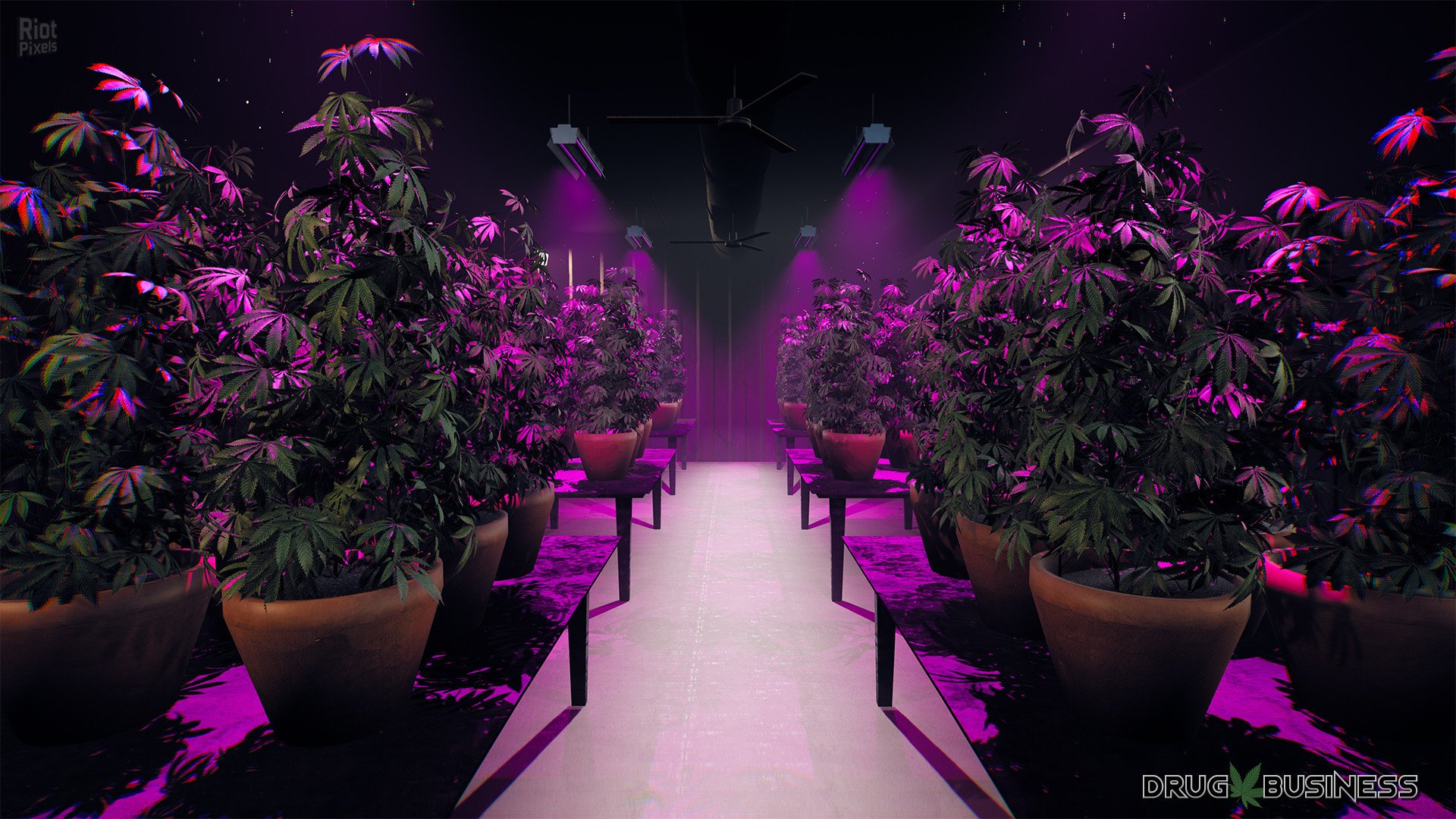 [2]-Drug Business Download