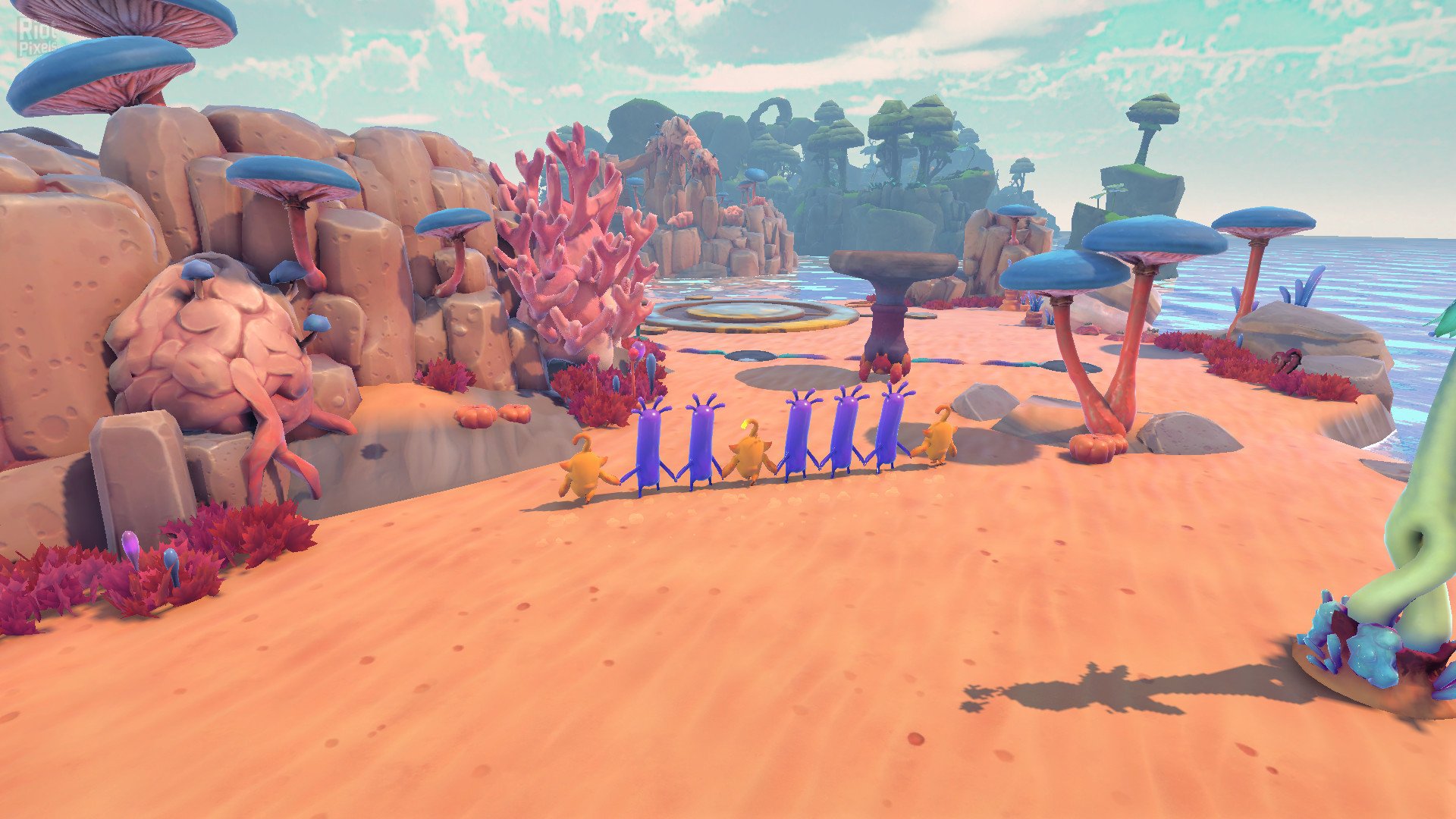 [6]-Derpy Conga – Build 8164768 Download