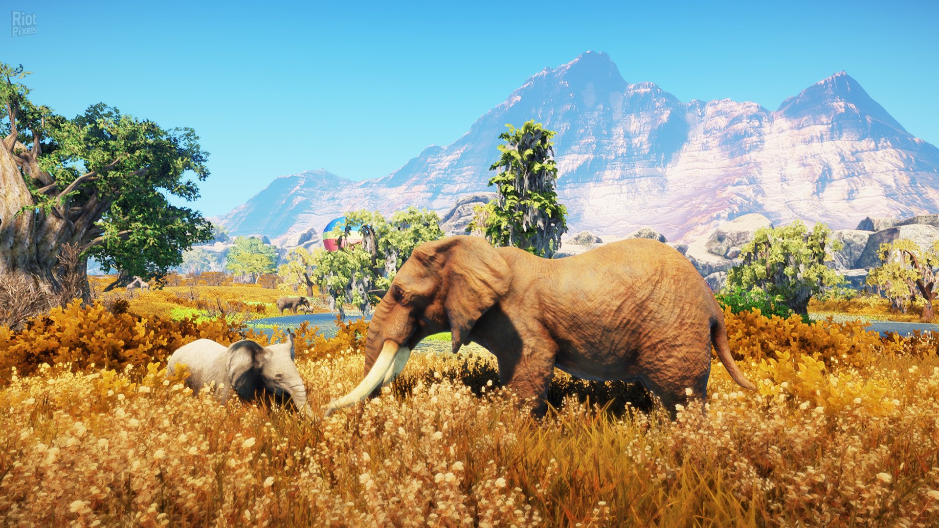 [2]-Animallica Download