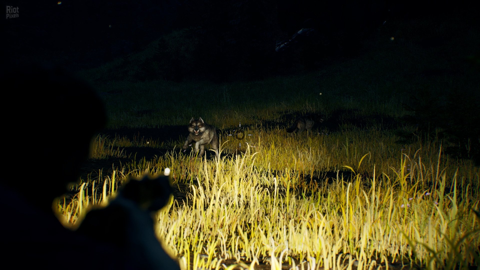 [3]-Open Country – v1.0.0.2636 Download