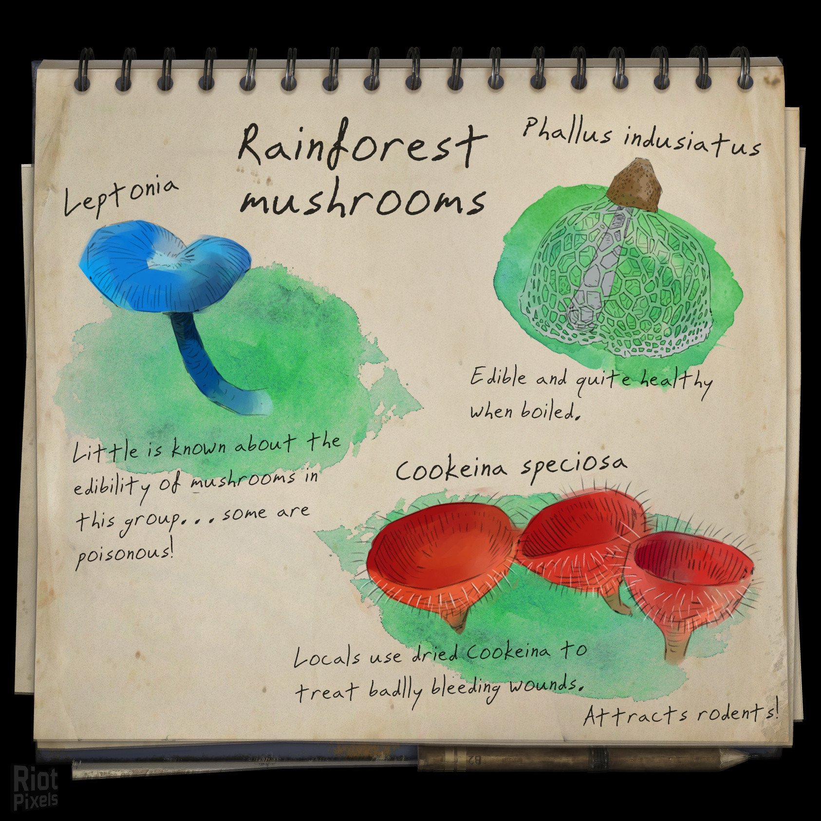 [28]-Green Hell – v2.2.0 build 31580 / v2.2.1 build 31671 Download