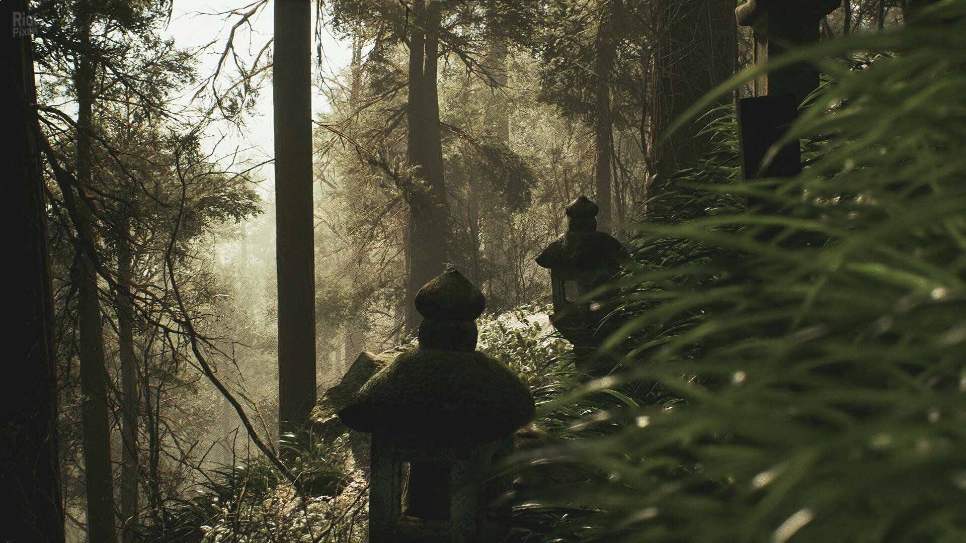 [8]-Lushfoil Photography Sim Download