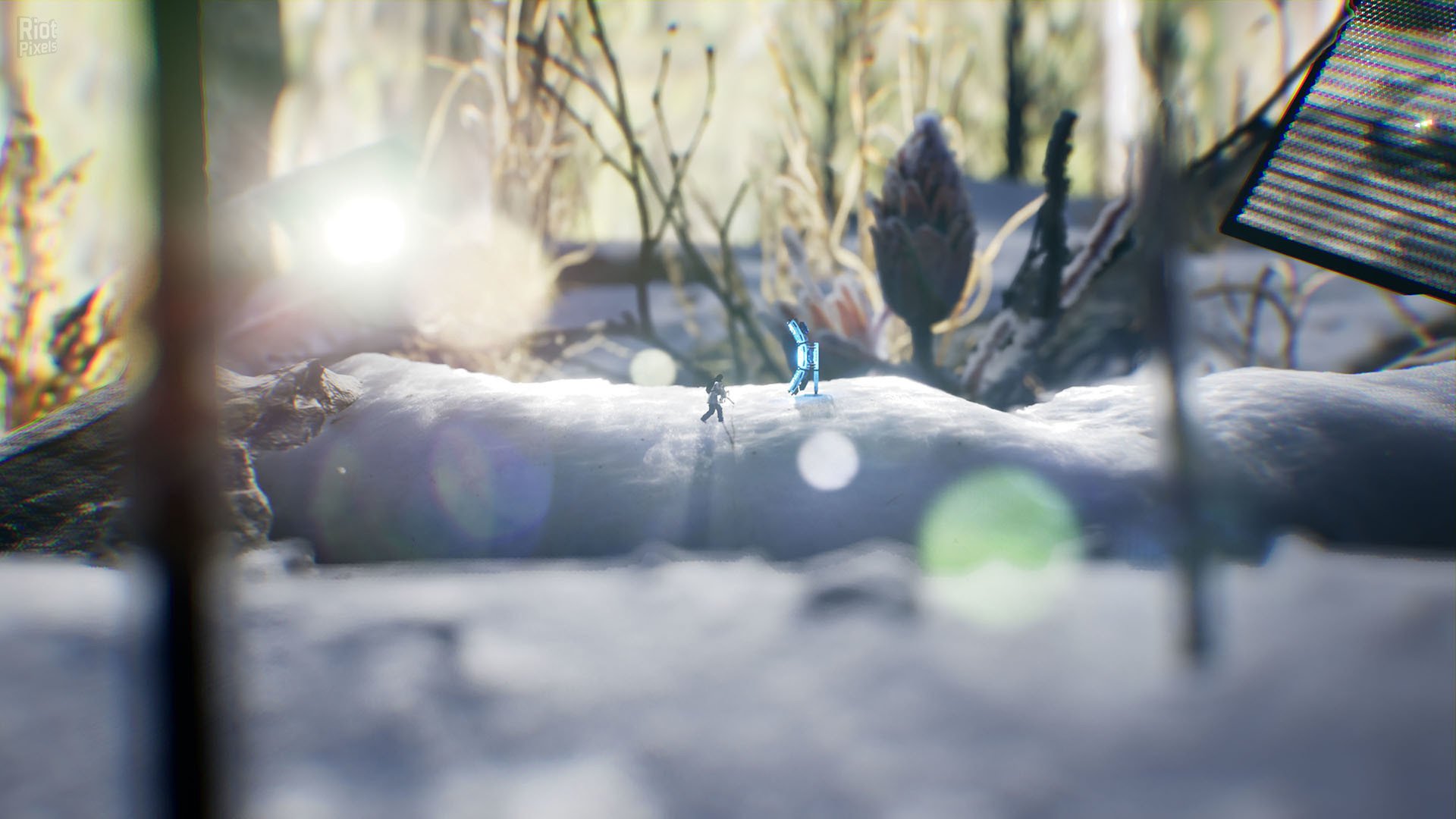 [9]-Big Earth Download