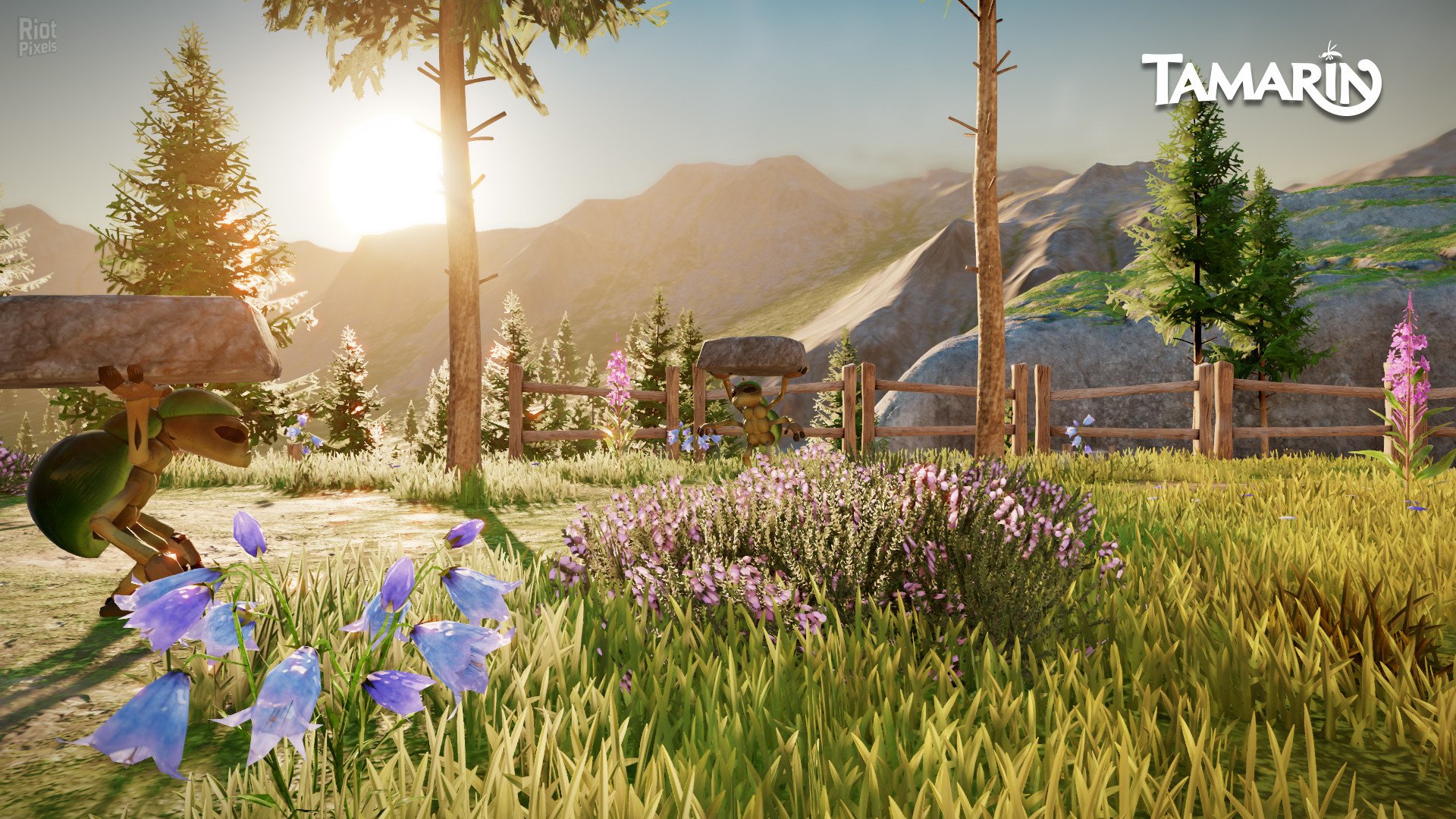 [13]-Tamarin Download