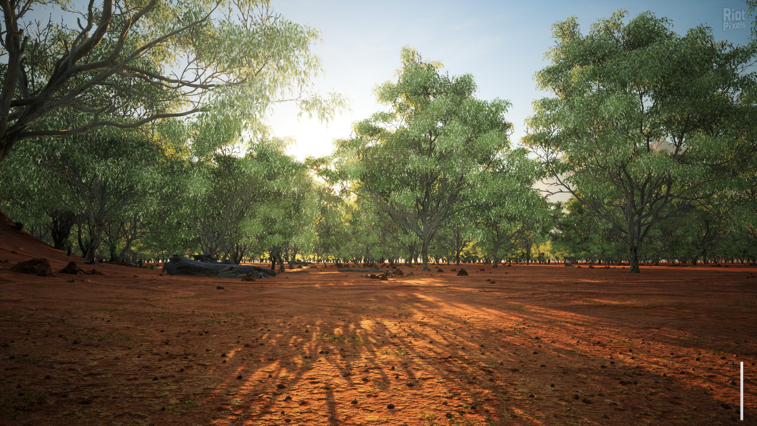 [9]-The Quiet Apocalypse Download