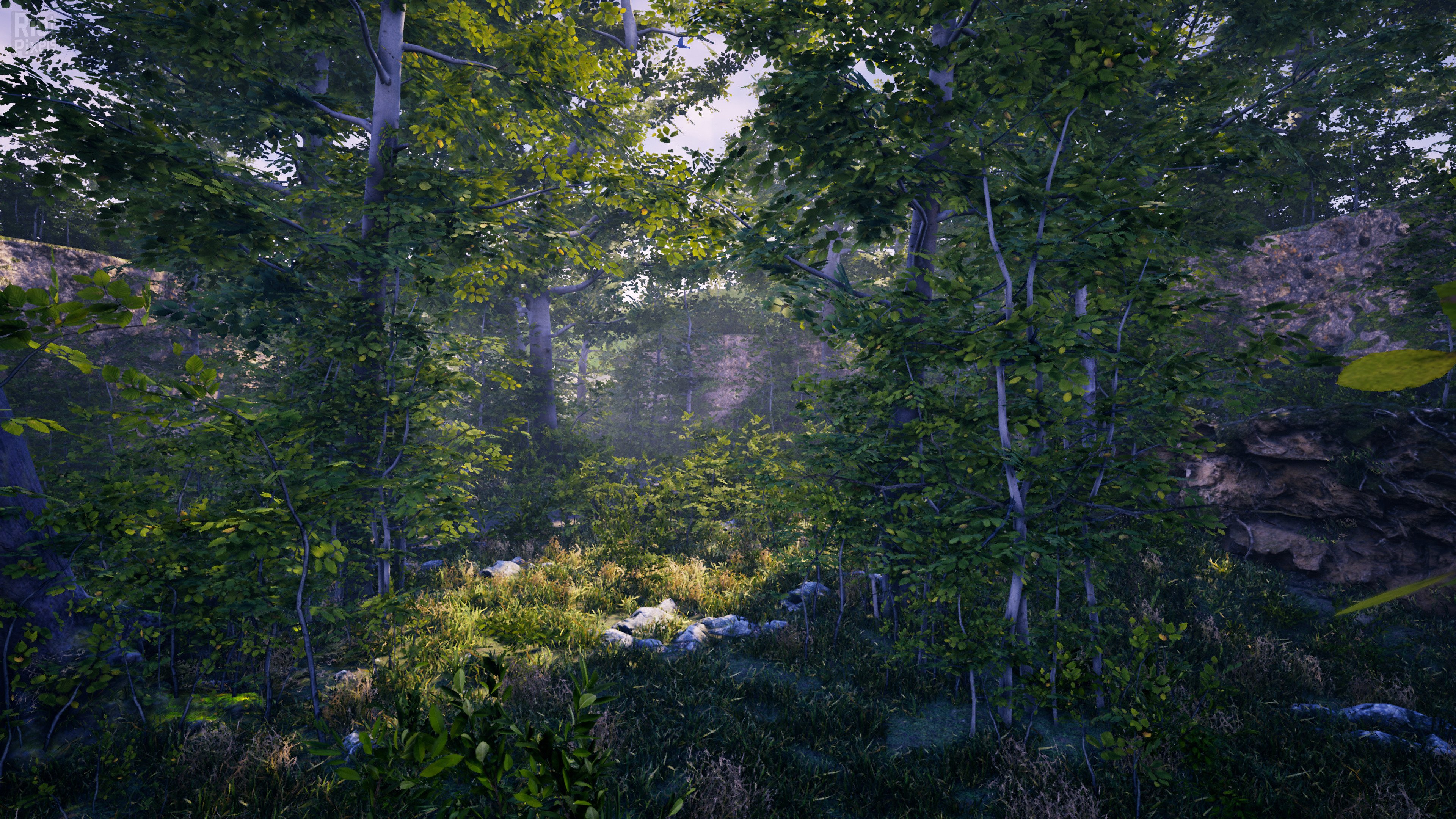 [6]-The Fabled Woods Download