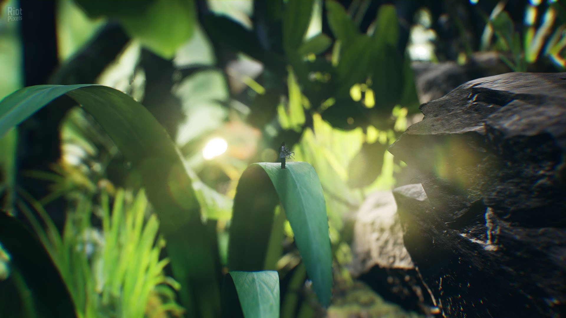 [7]-Big Earth Download