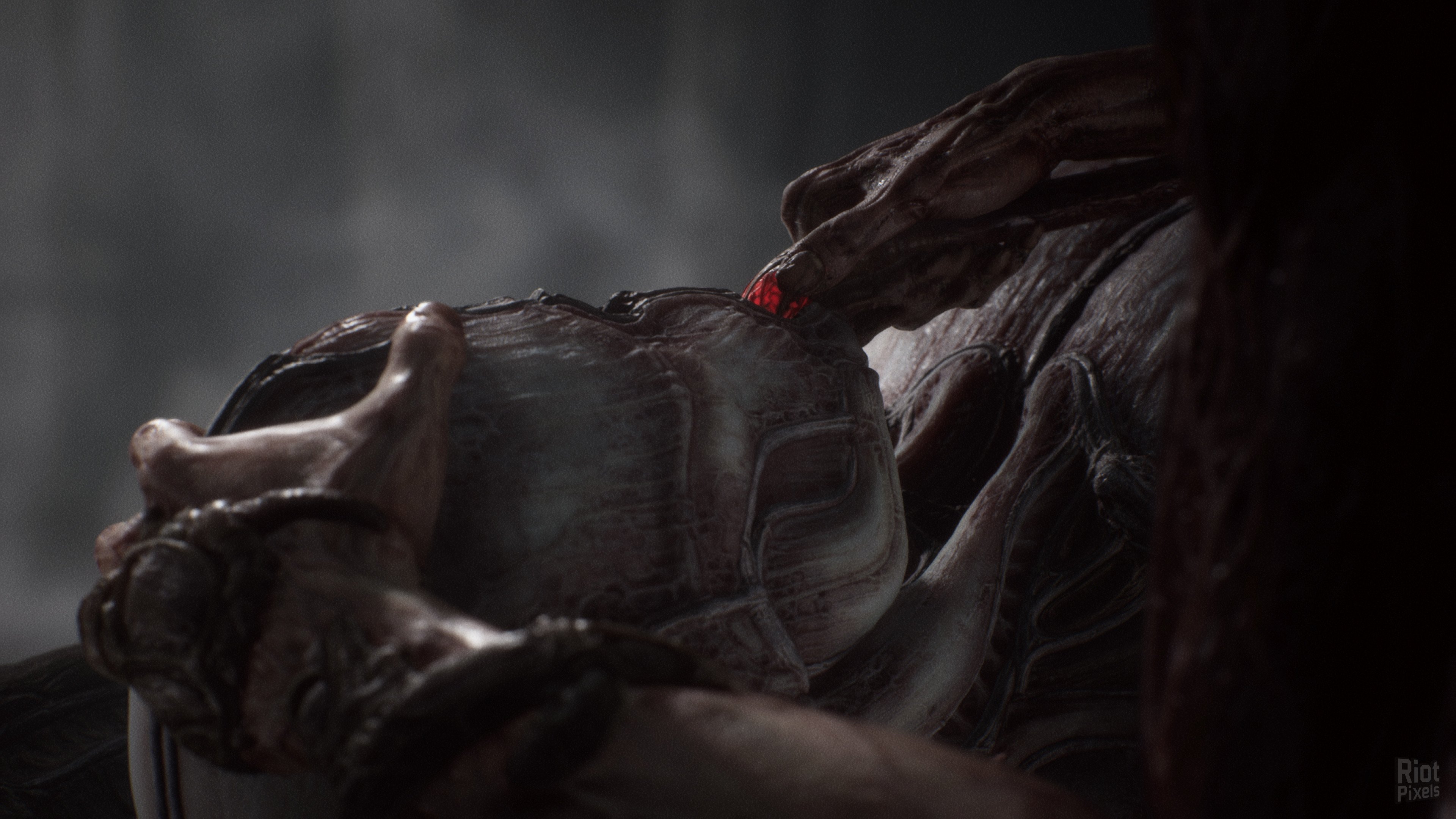 [13]-Scorn: Deluxe Edition, v1.2.2.0 + Bonus Content + Windows 7 Fix Download