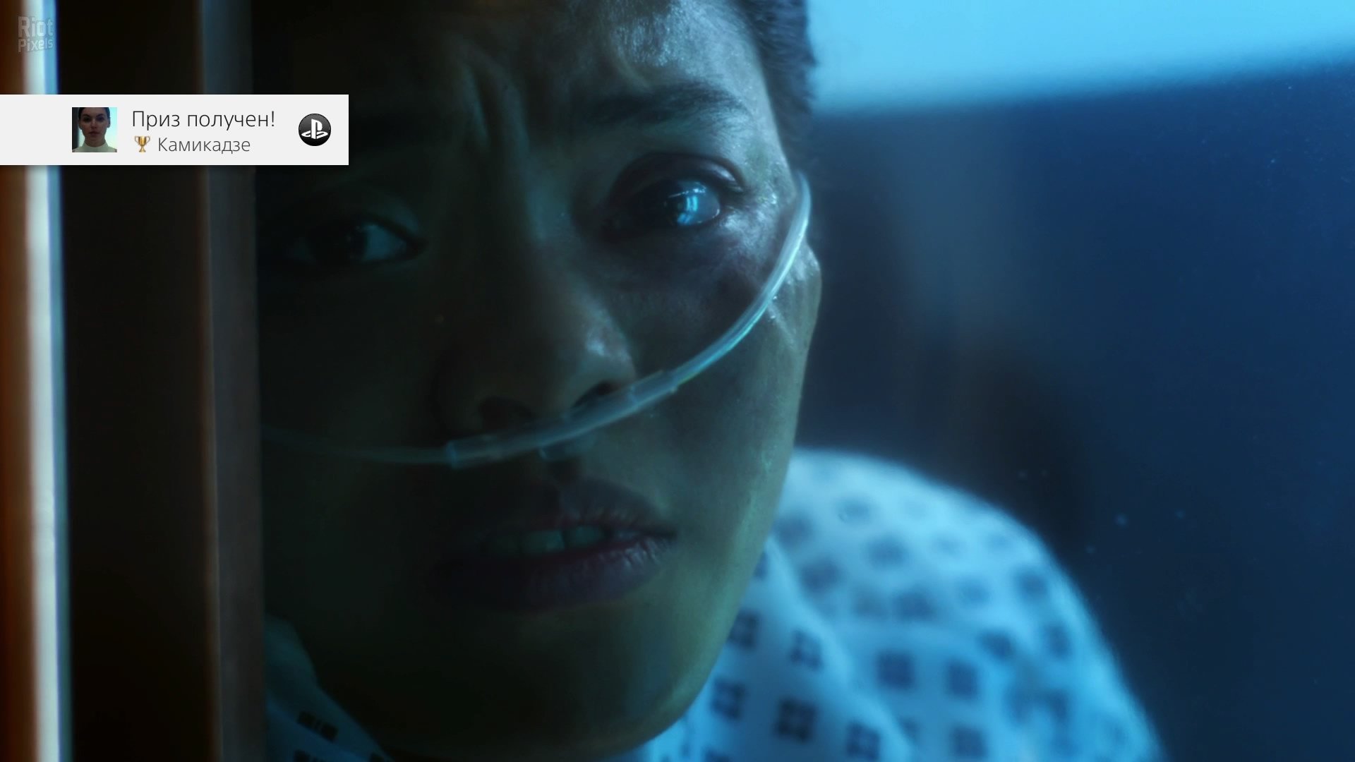 [16]-The Complex Download