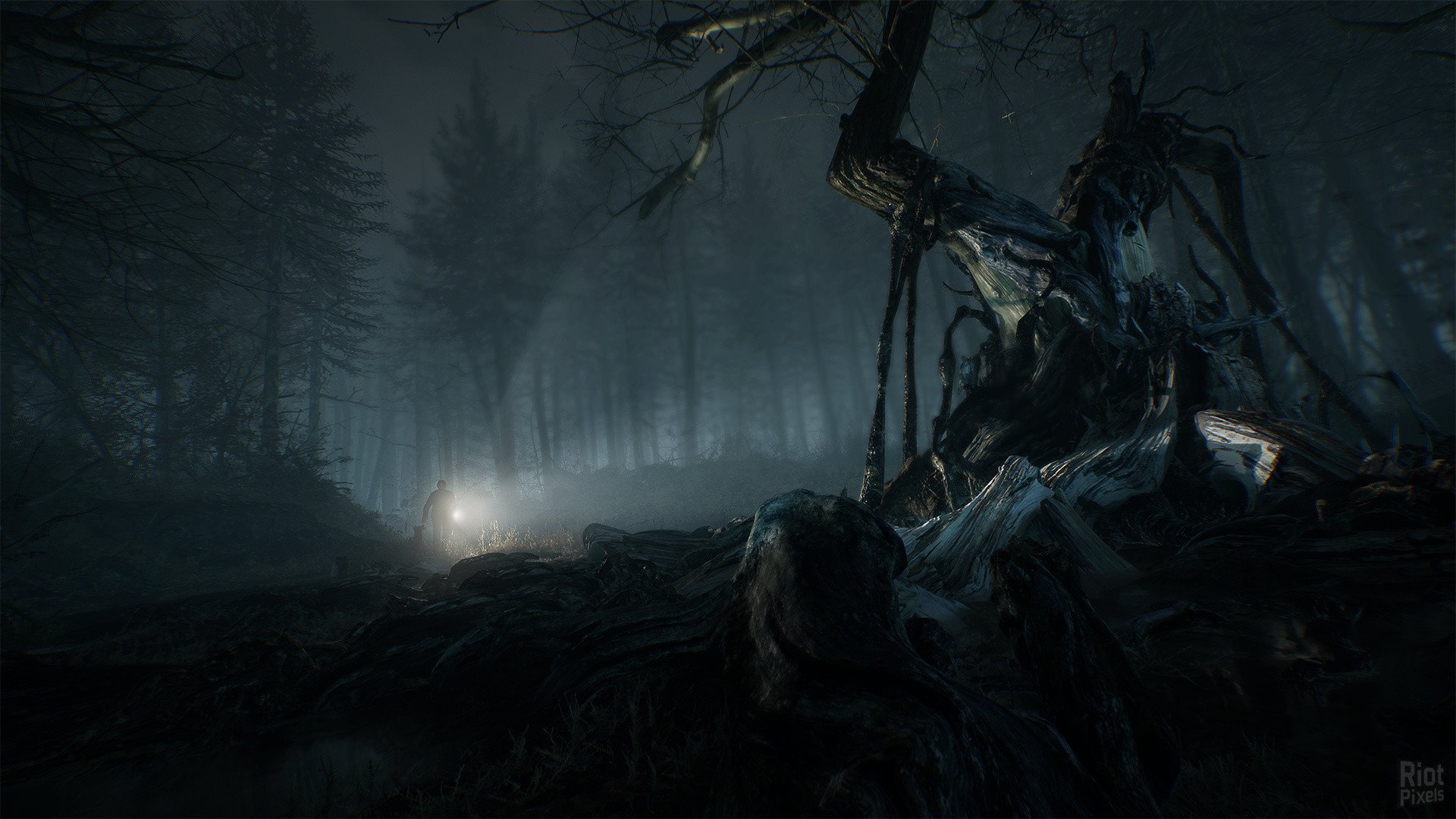 [6]-Blair Witch: Deluxe Edition – v08302019/Update 1 Download