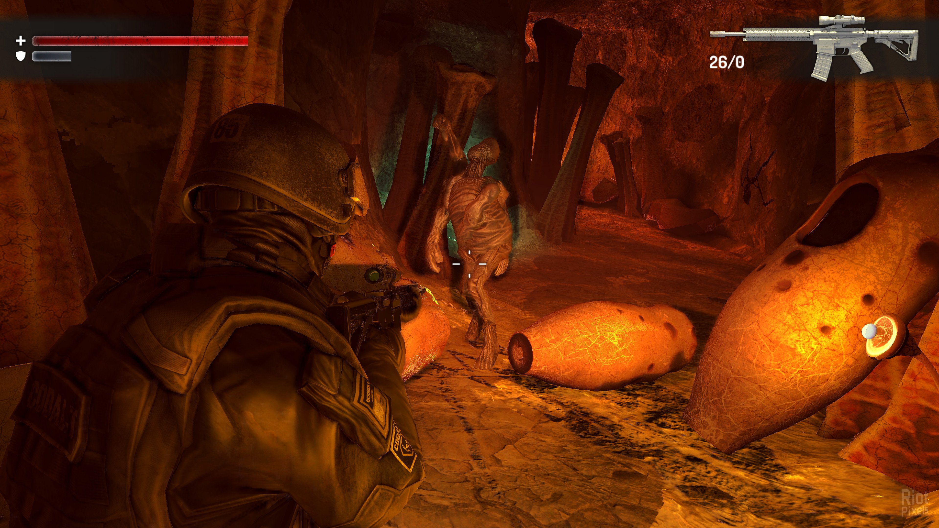 [3]-Wall of Insanity Download