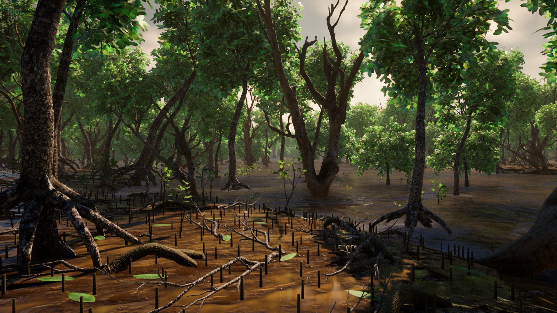 [13]-Straya Download