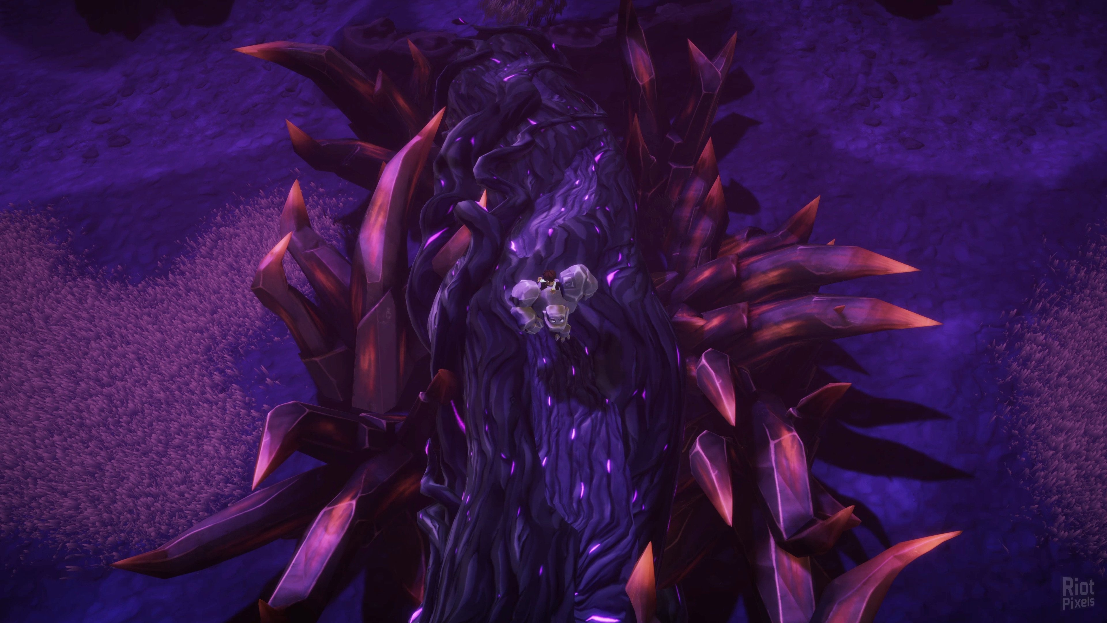 [8]-Curse of the Deadwood Download