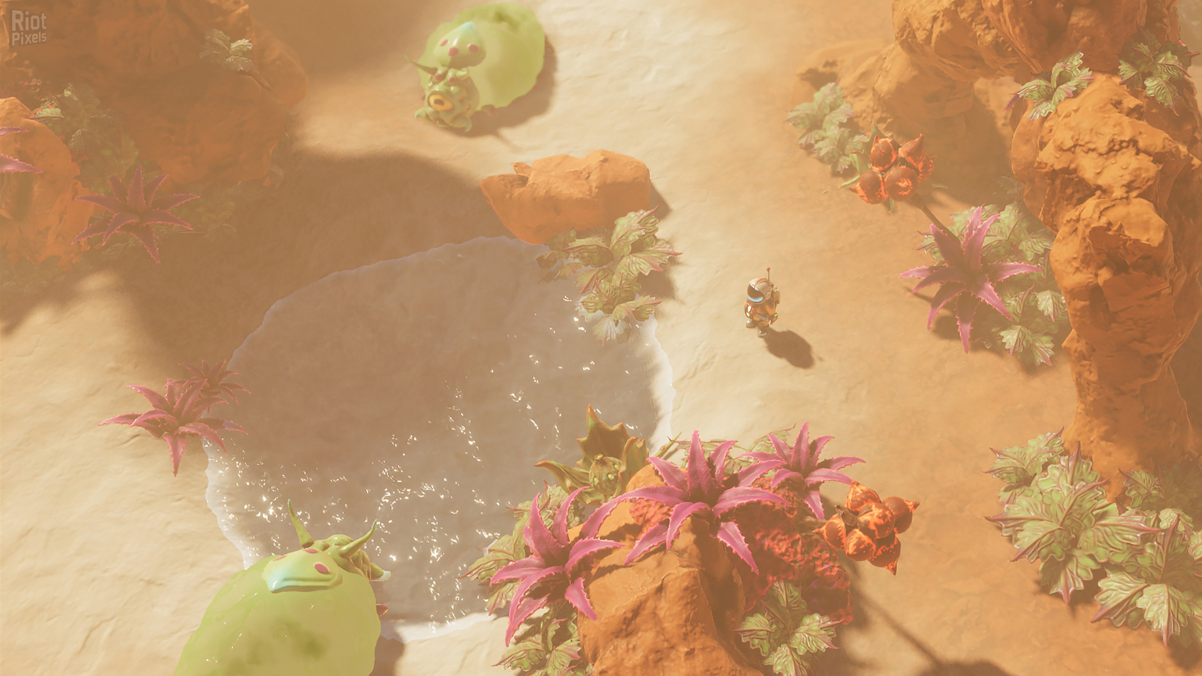 [12]-Space for Sale – v2024.11.25.10.55 + Supporter Pack DLC + Bonus OST Download