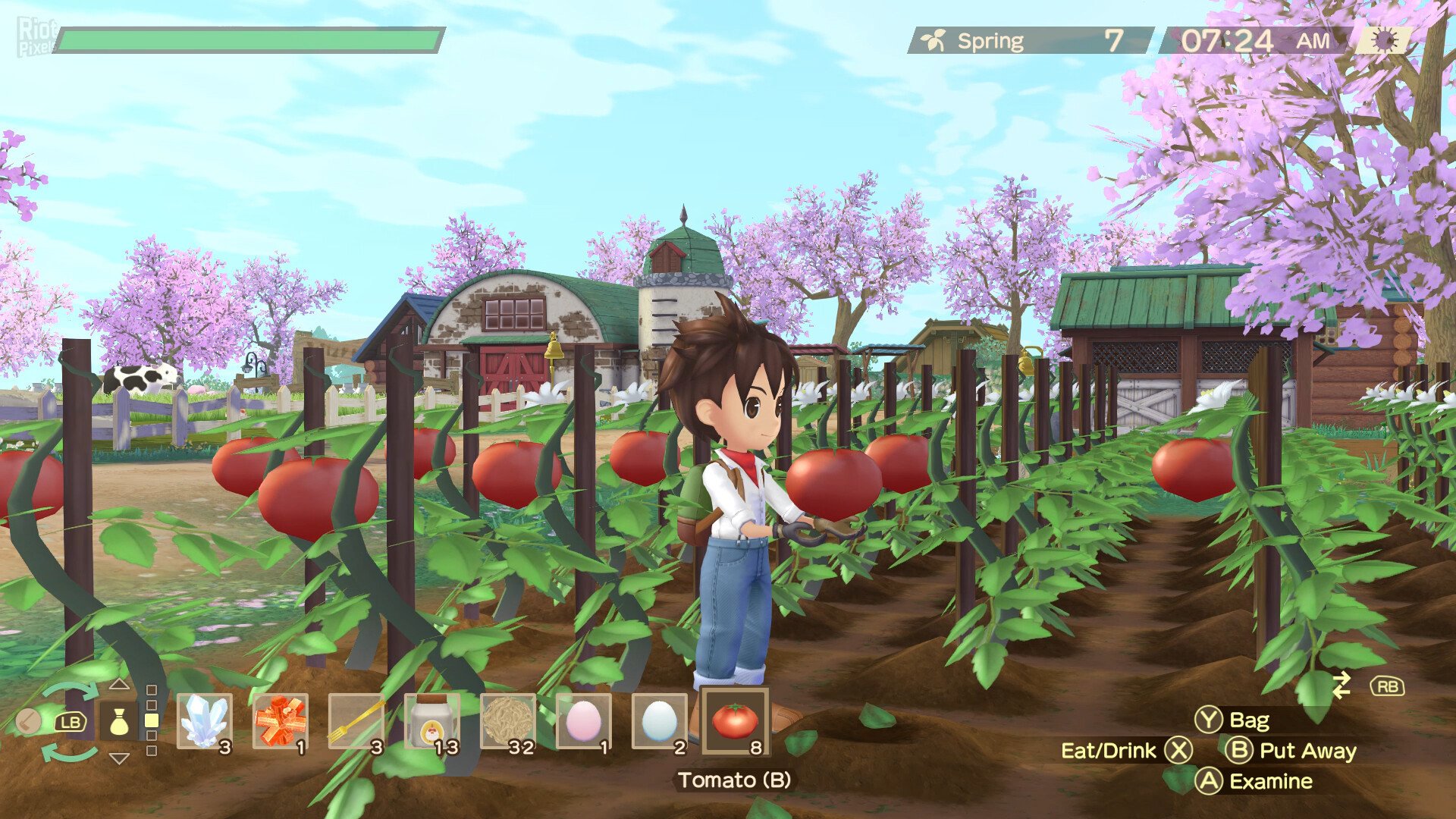 [16]-STORY OF SEASONS: A Wonderful Life + 2 DLCs + Windows 7 Fix Download
