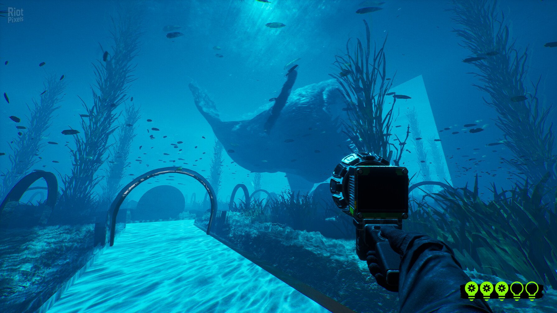 [4]-Zoonomaly + Windows 7 Fix Download