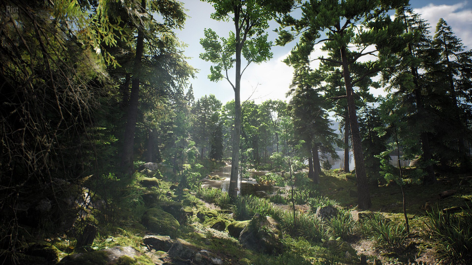 [10]-Project Hunt Download