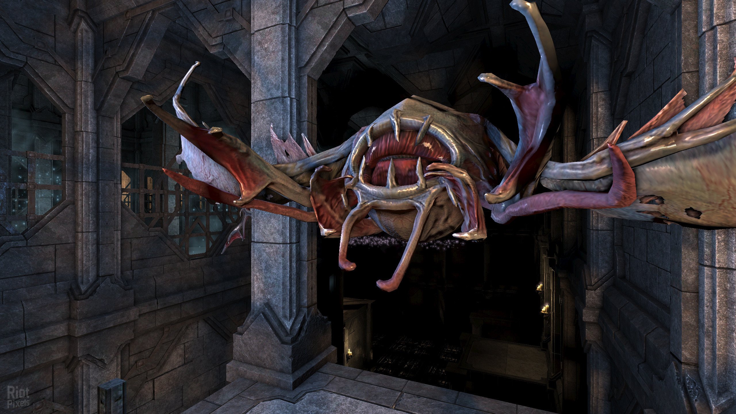 [14]-Legend of Grimrock 2 v2.24 + Bonus Stuff Download