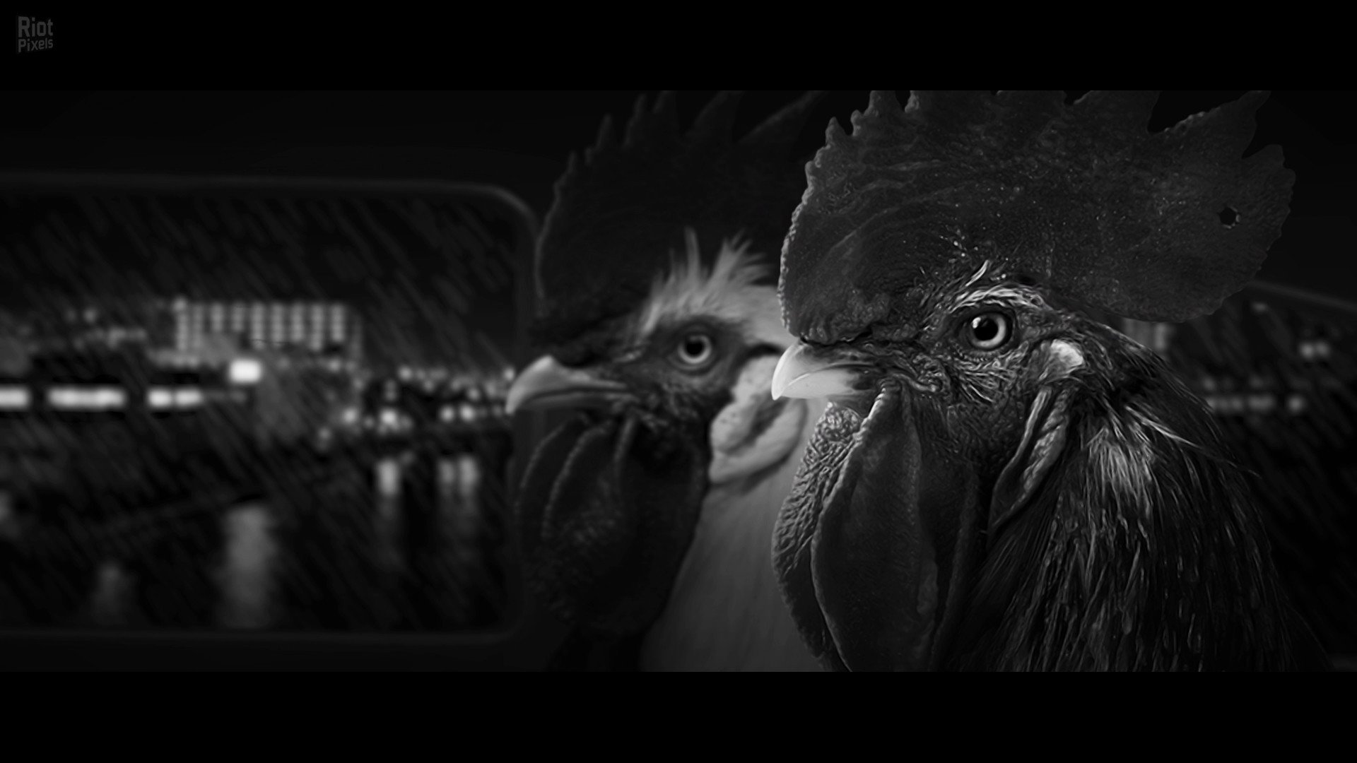 [11]-Chicken Police Download