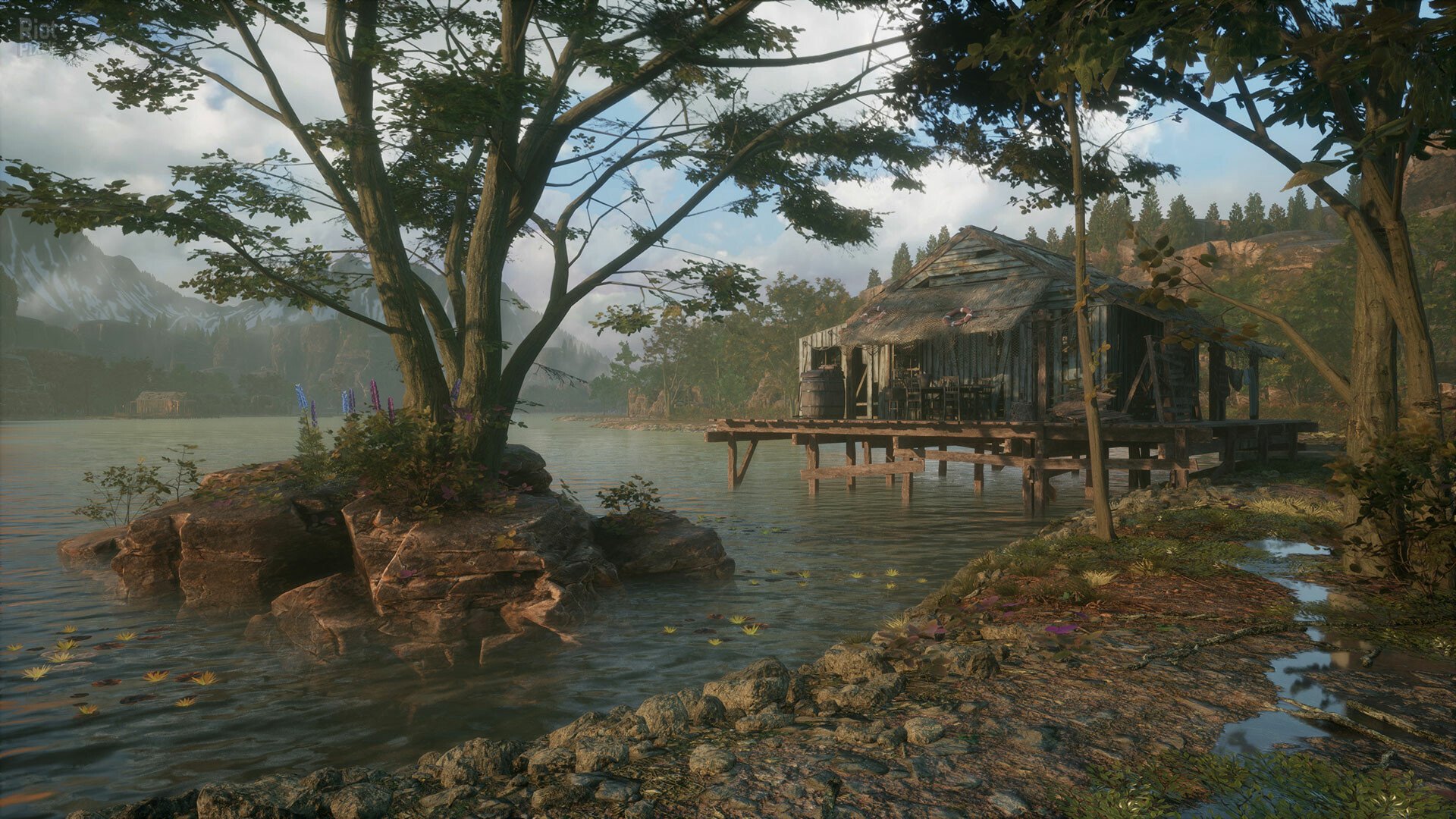 [3]-Purpose 1951 + Windows 7 Fix Download