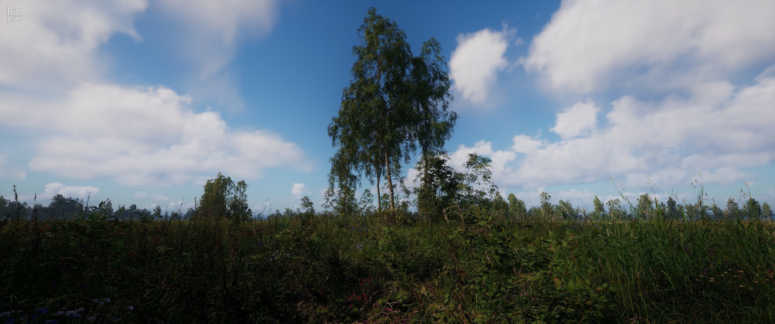 [11]-Russian Soul Simulator Download