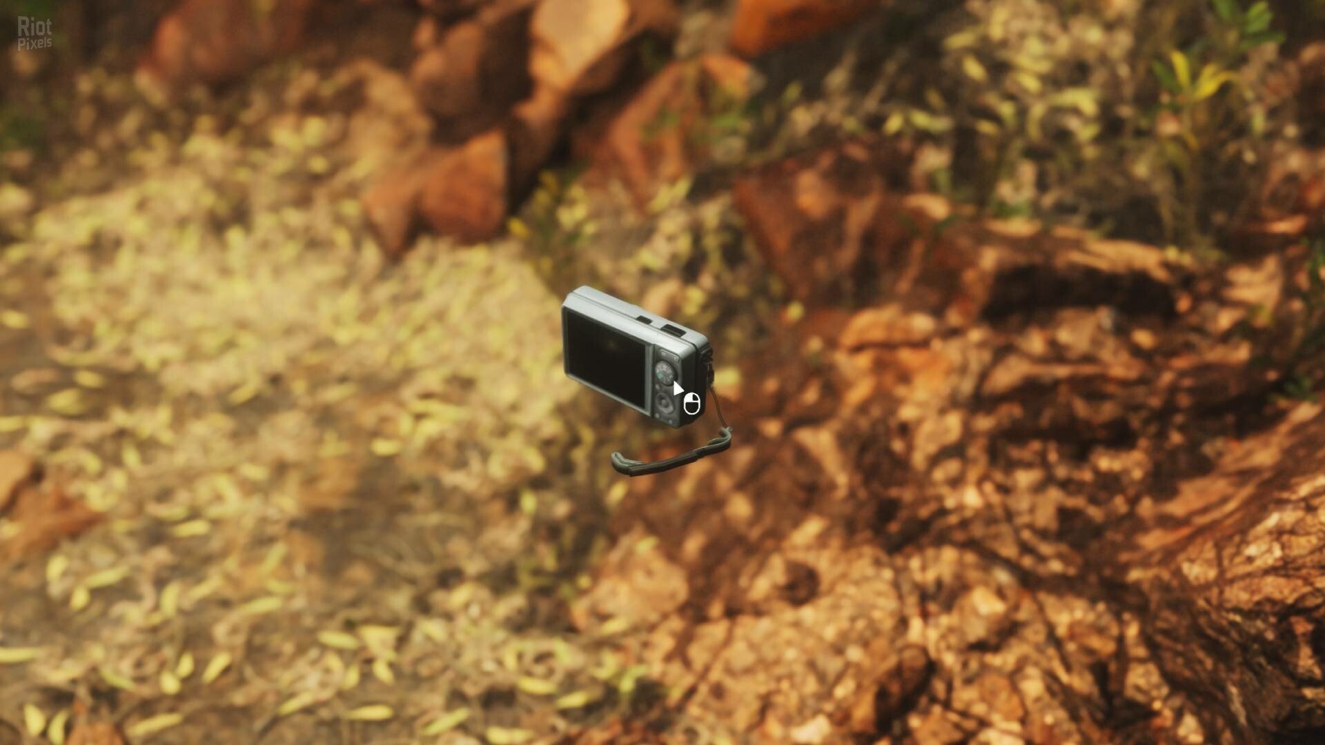 [4]-Lushfoil Photography Sim Download