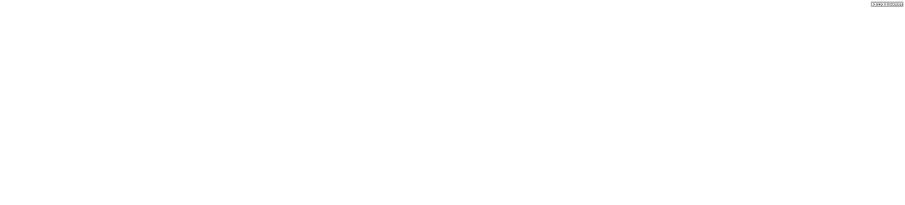 [12]-WRC 8 FIA World Rally Championship Download