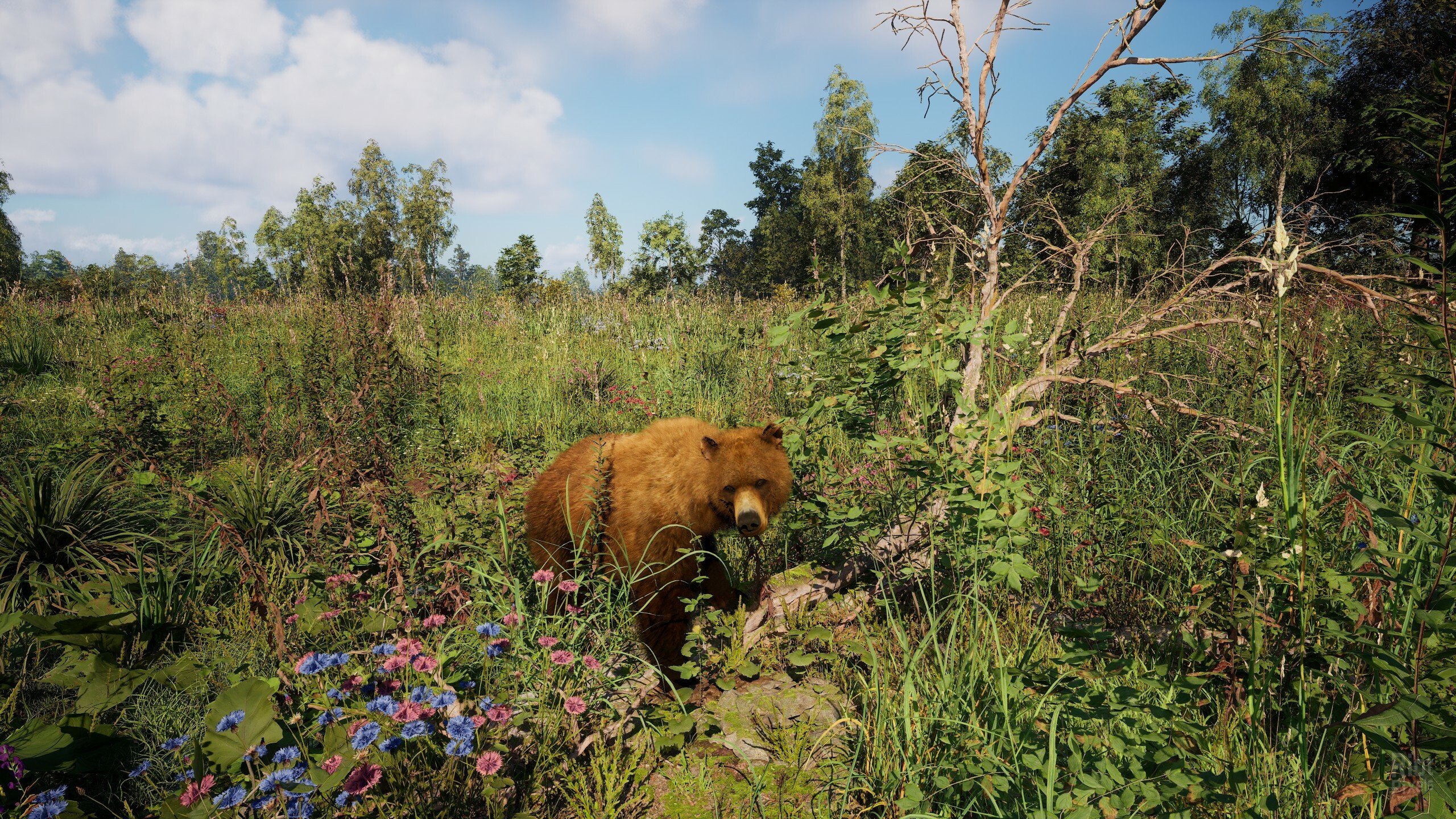 [10]-Russian Soul Simulator Download