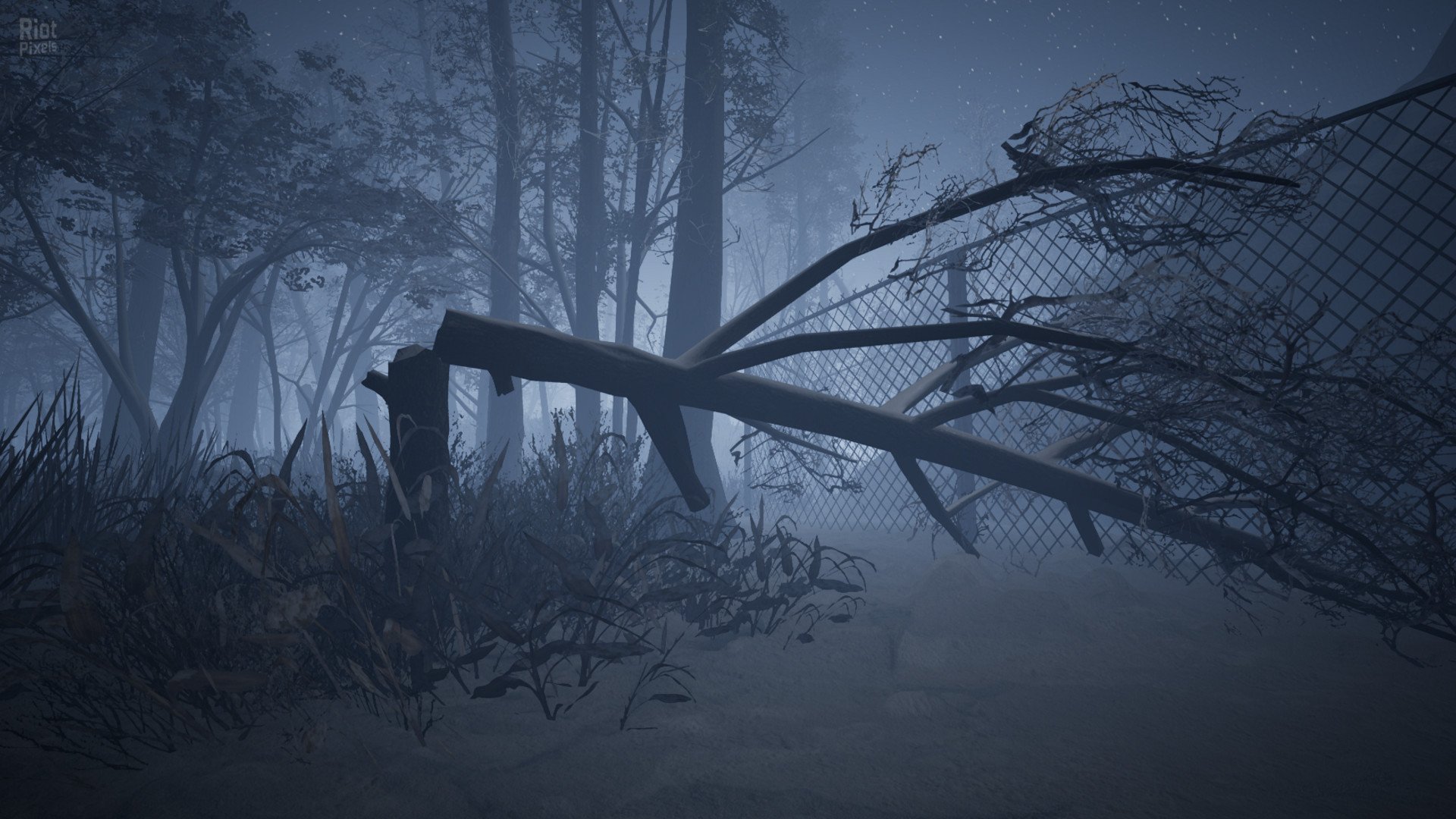 [8]-Raw Footage Download