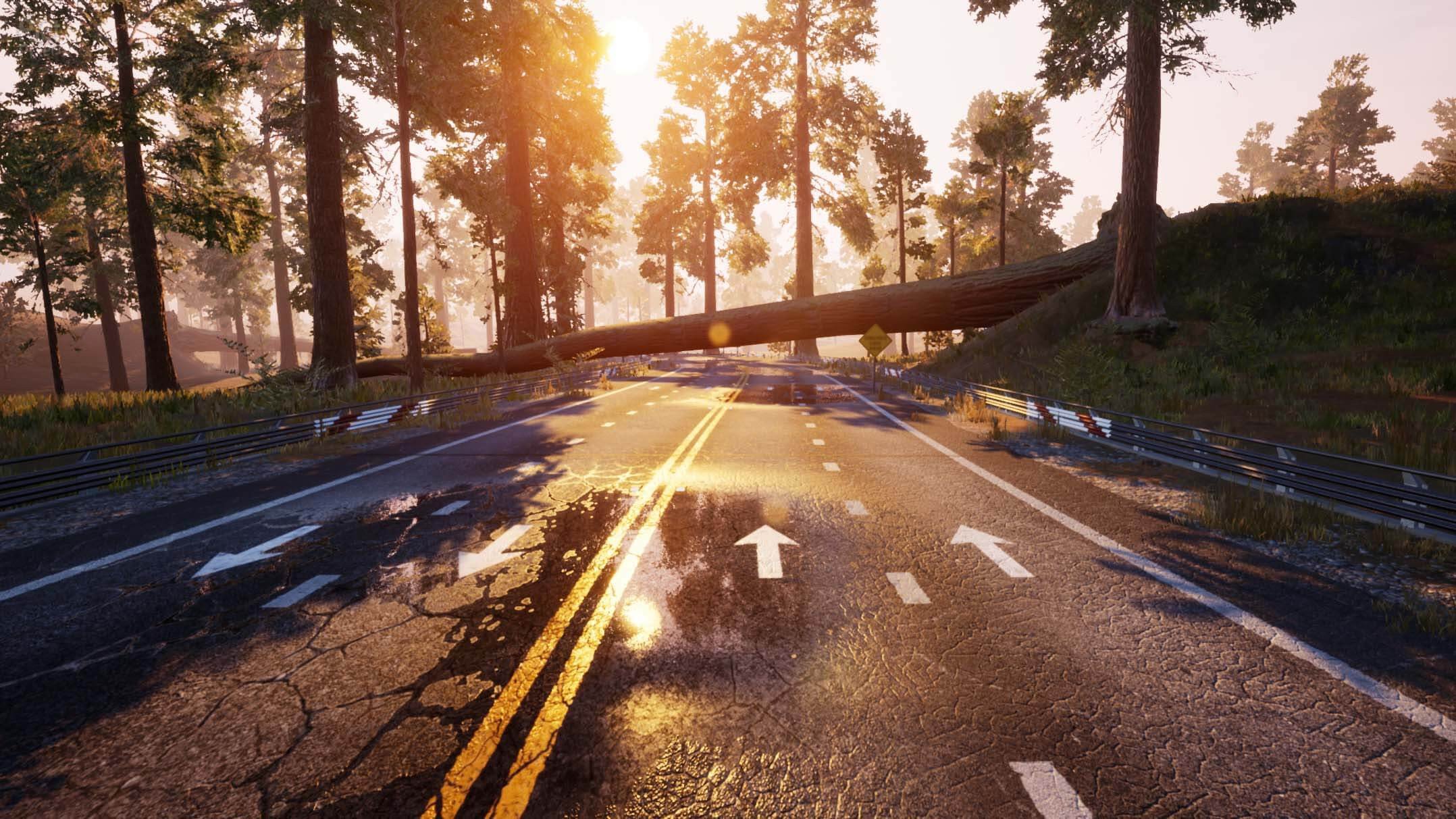 [13]-Dangerous Driving Download