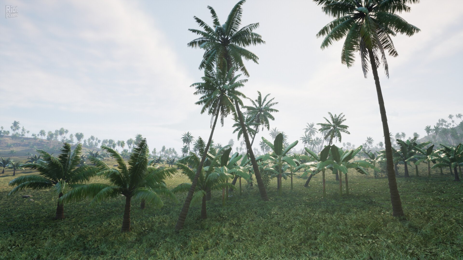 [13]-Pirates Journey – v0.1.06 Download