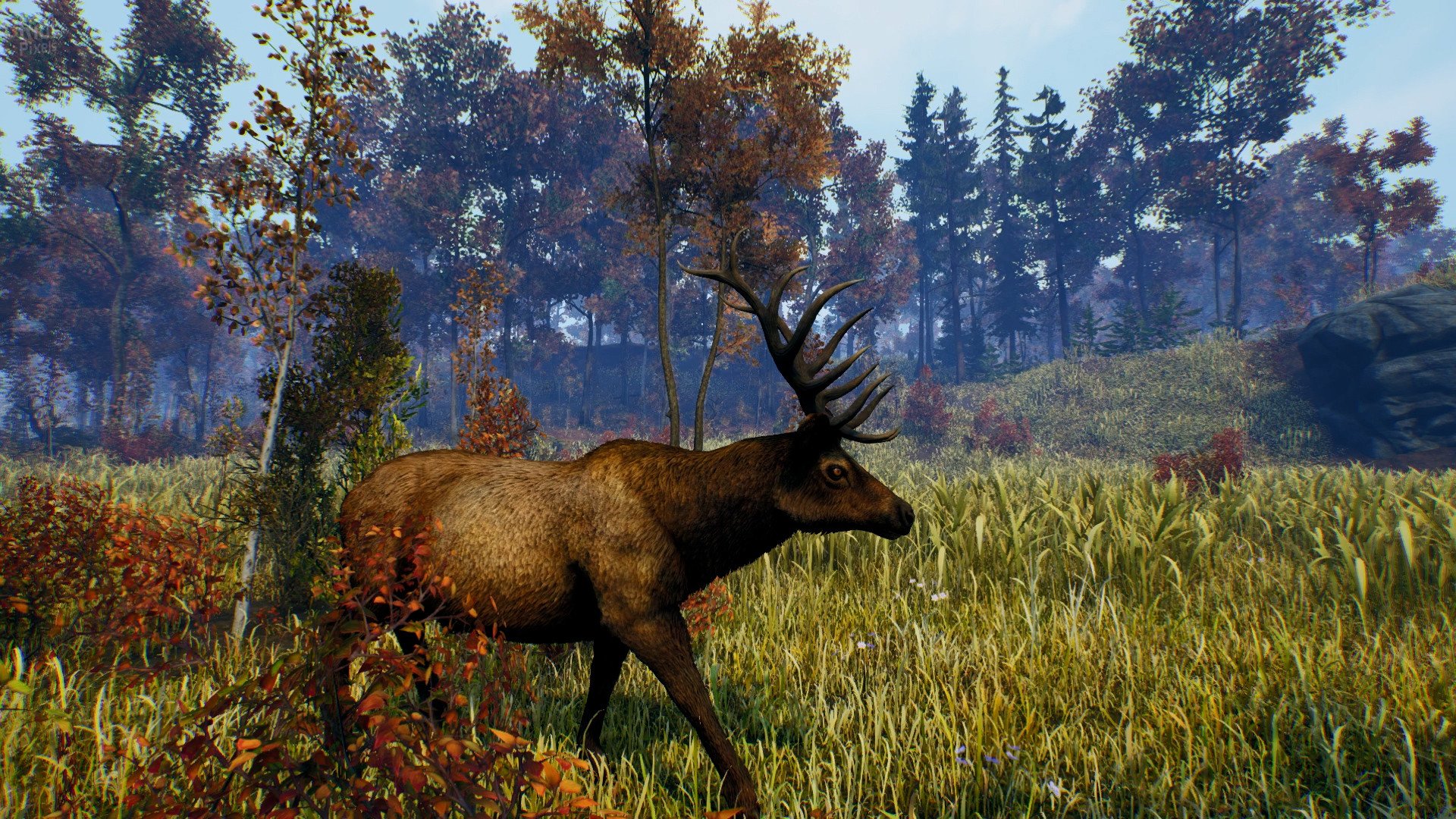 [8]-Open Country – v1.0.0.2636 Download